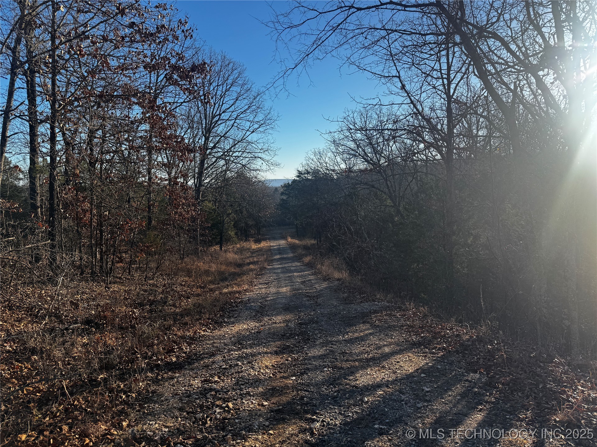 15077 Carlisle Drive Property Photo 4