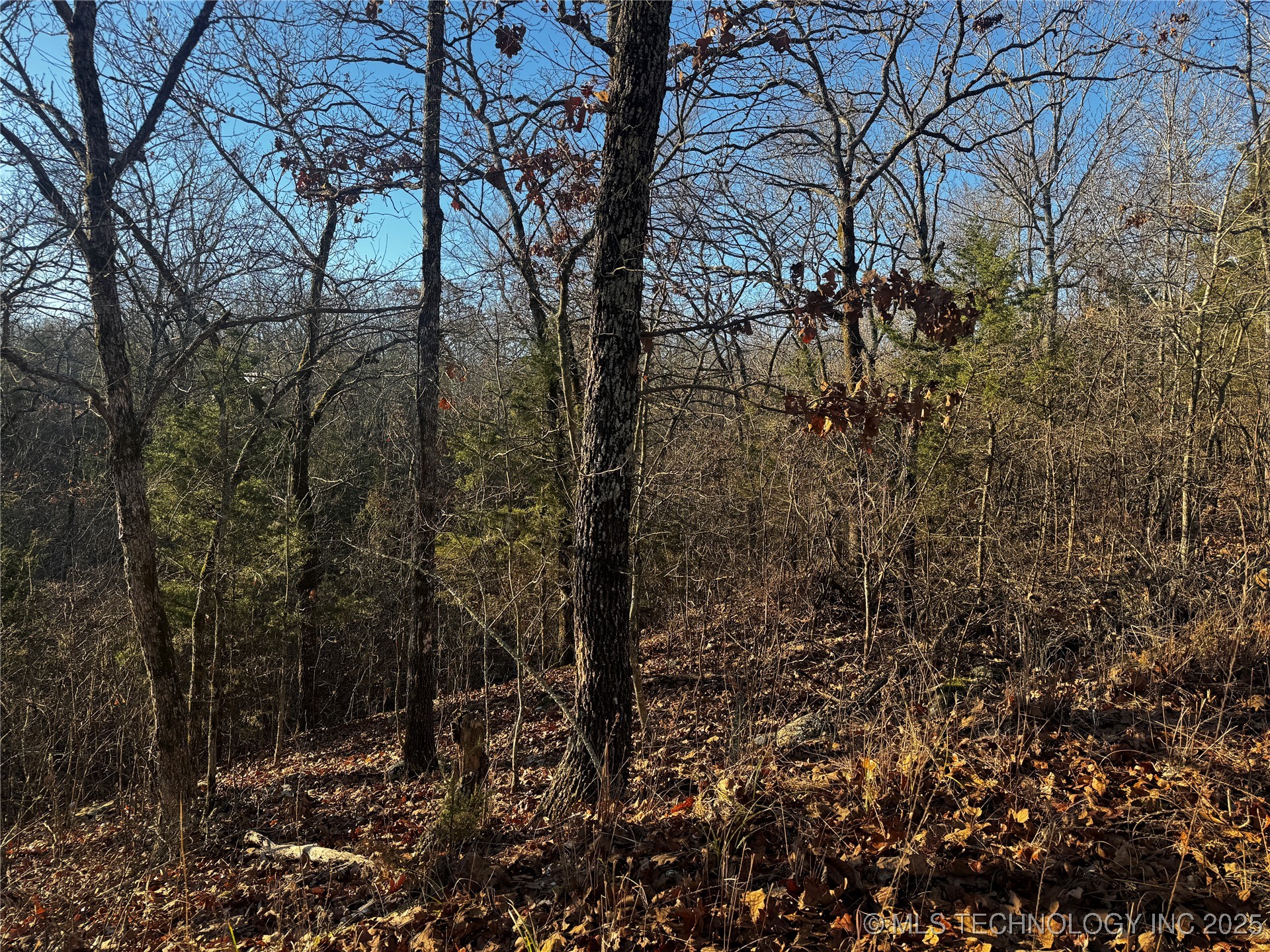 15077 Carlisle Drive Property Photo 5