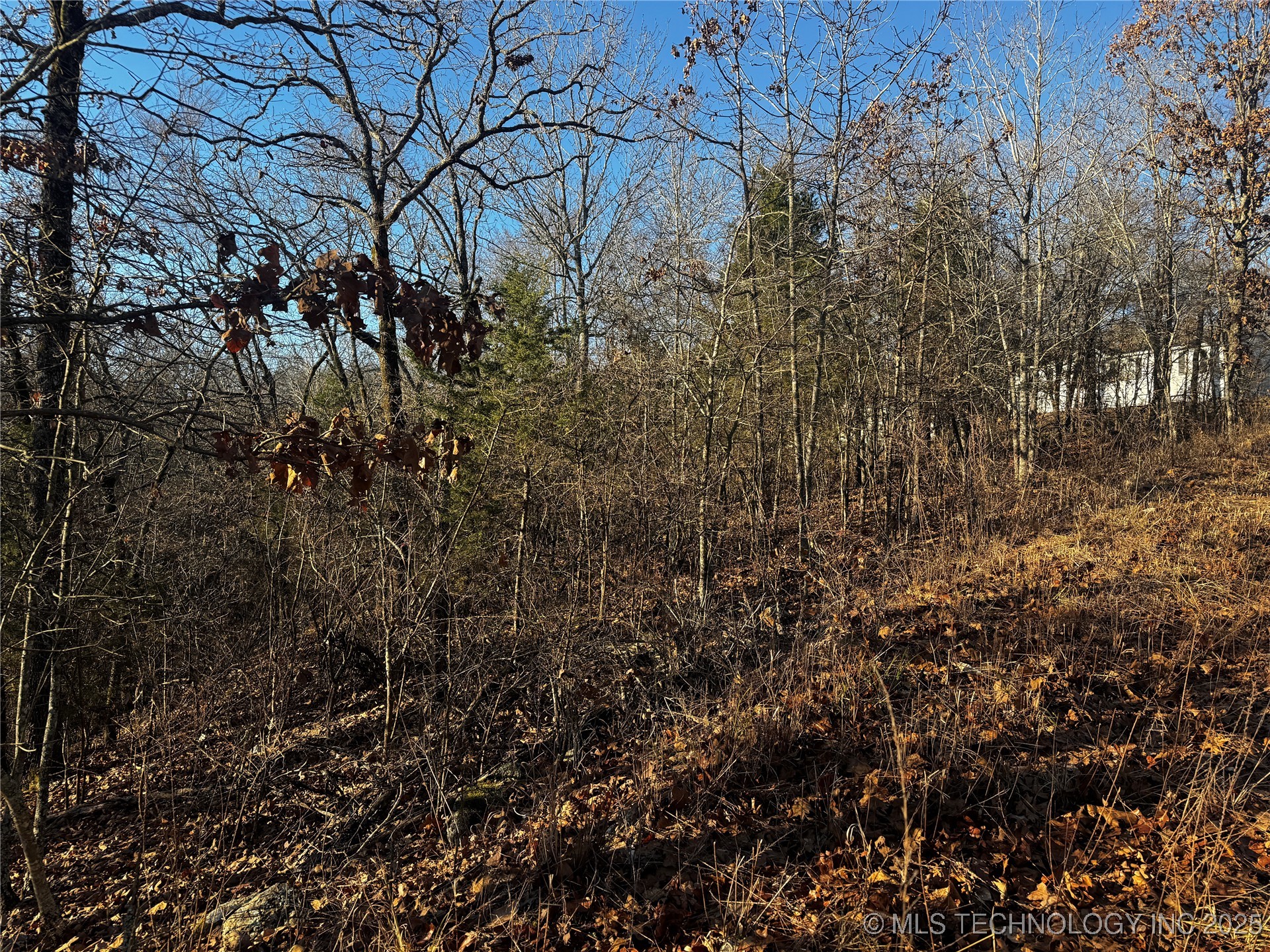 15077 Carlisle Drive Property Photo 6