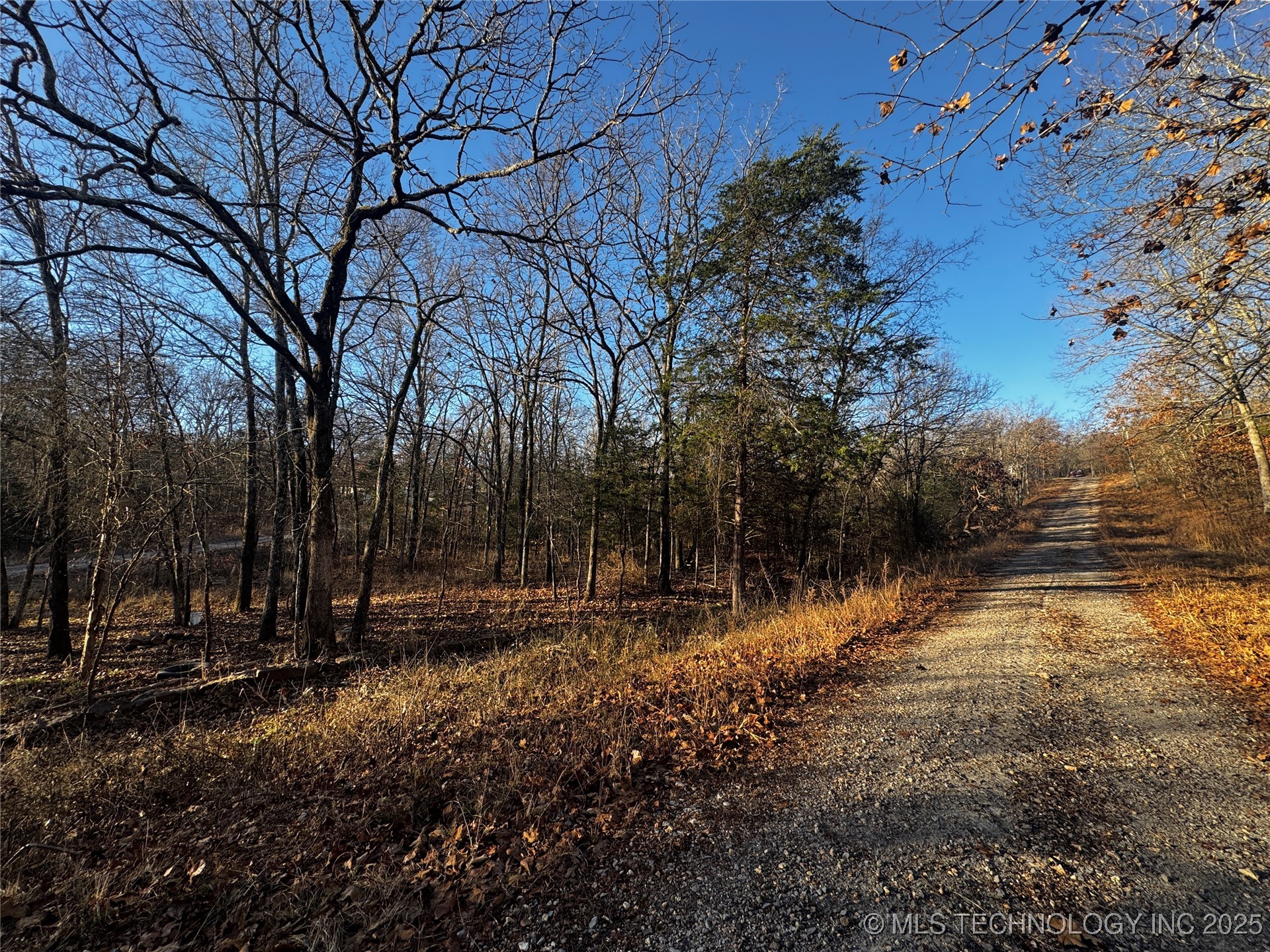 15077 Carlisle Drive Property Photo 7
