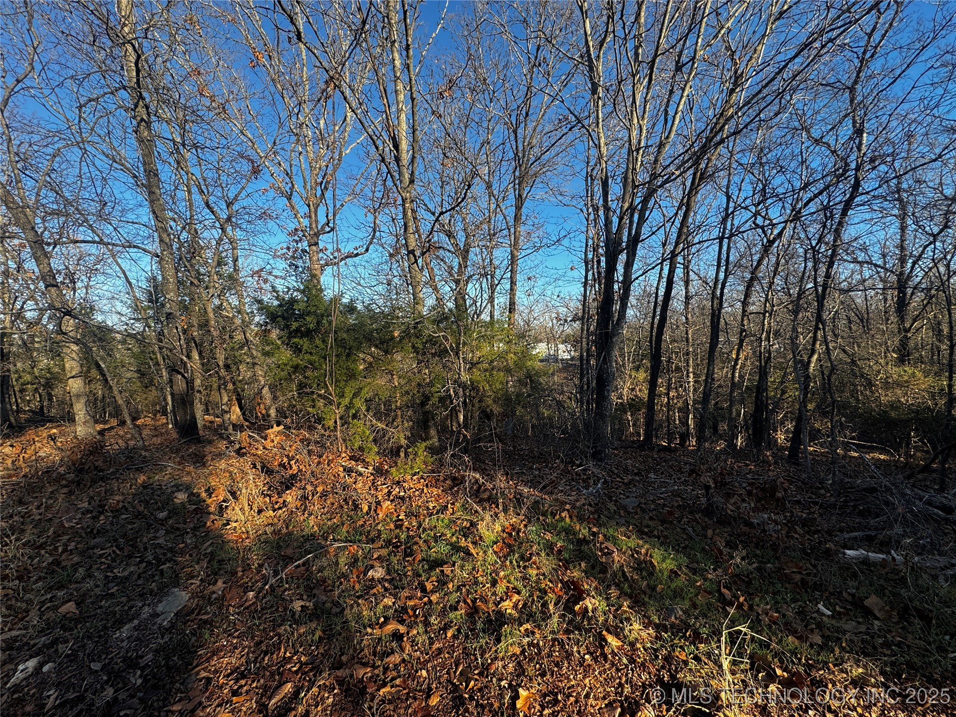 15077 Carlisle Drive Property Photo 11