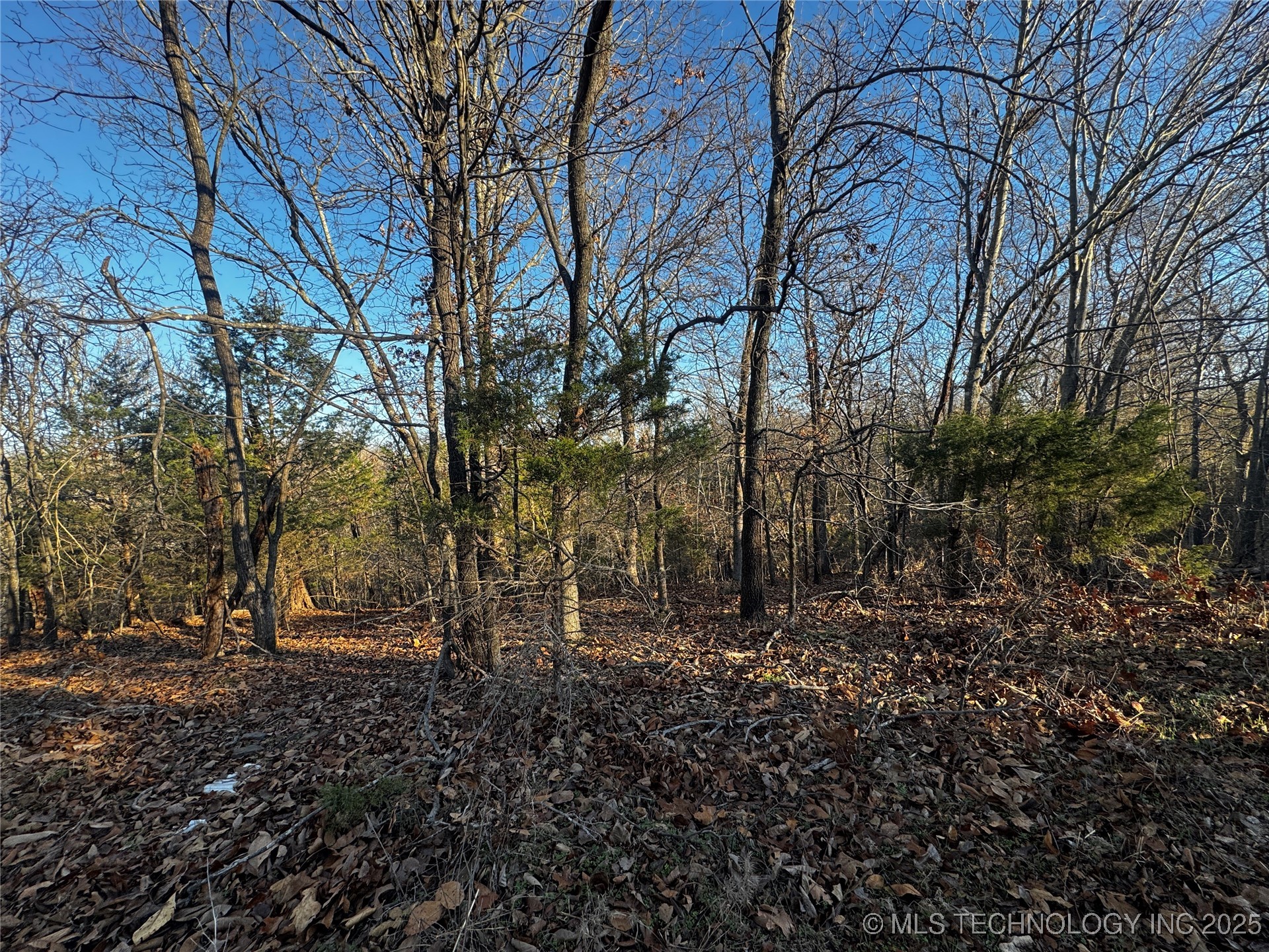 15077 Carlisle Drive Property Photo 12