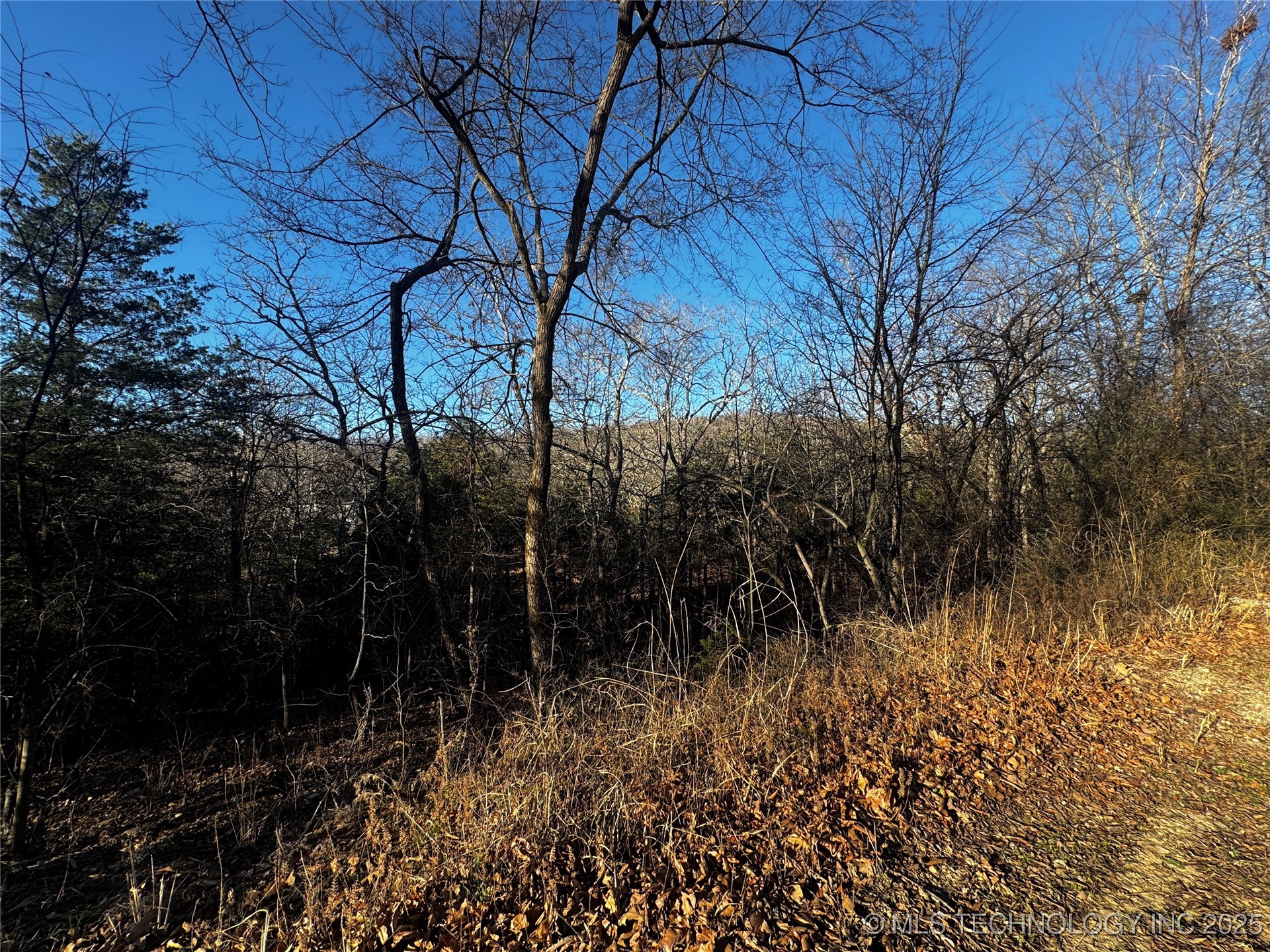 15077 Carlisle Drive Property Photo 16