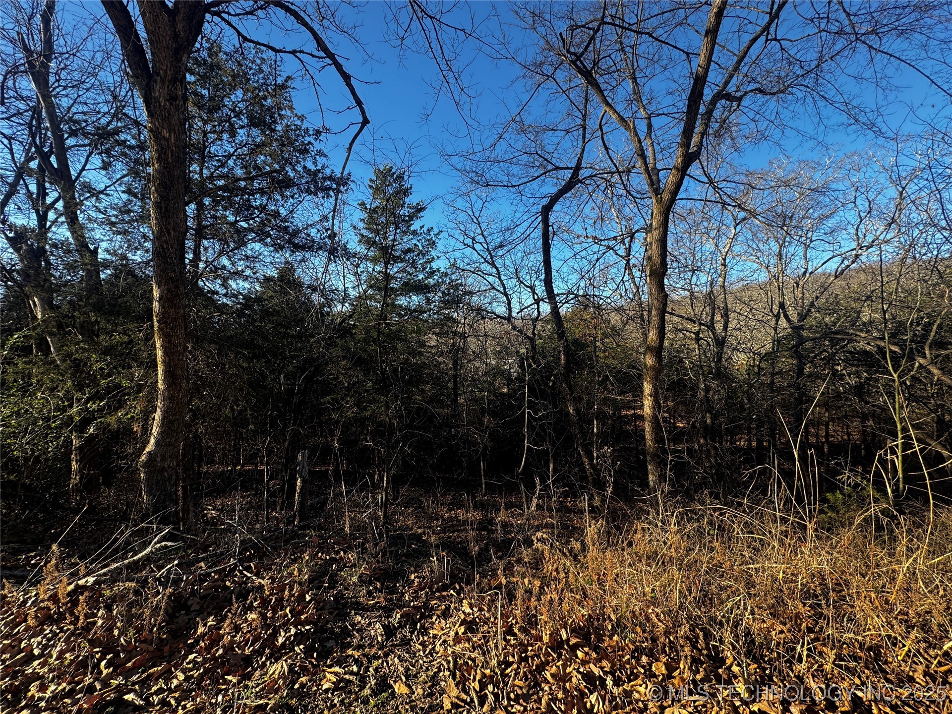 15077 Carlisle Drive Property Photo 17