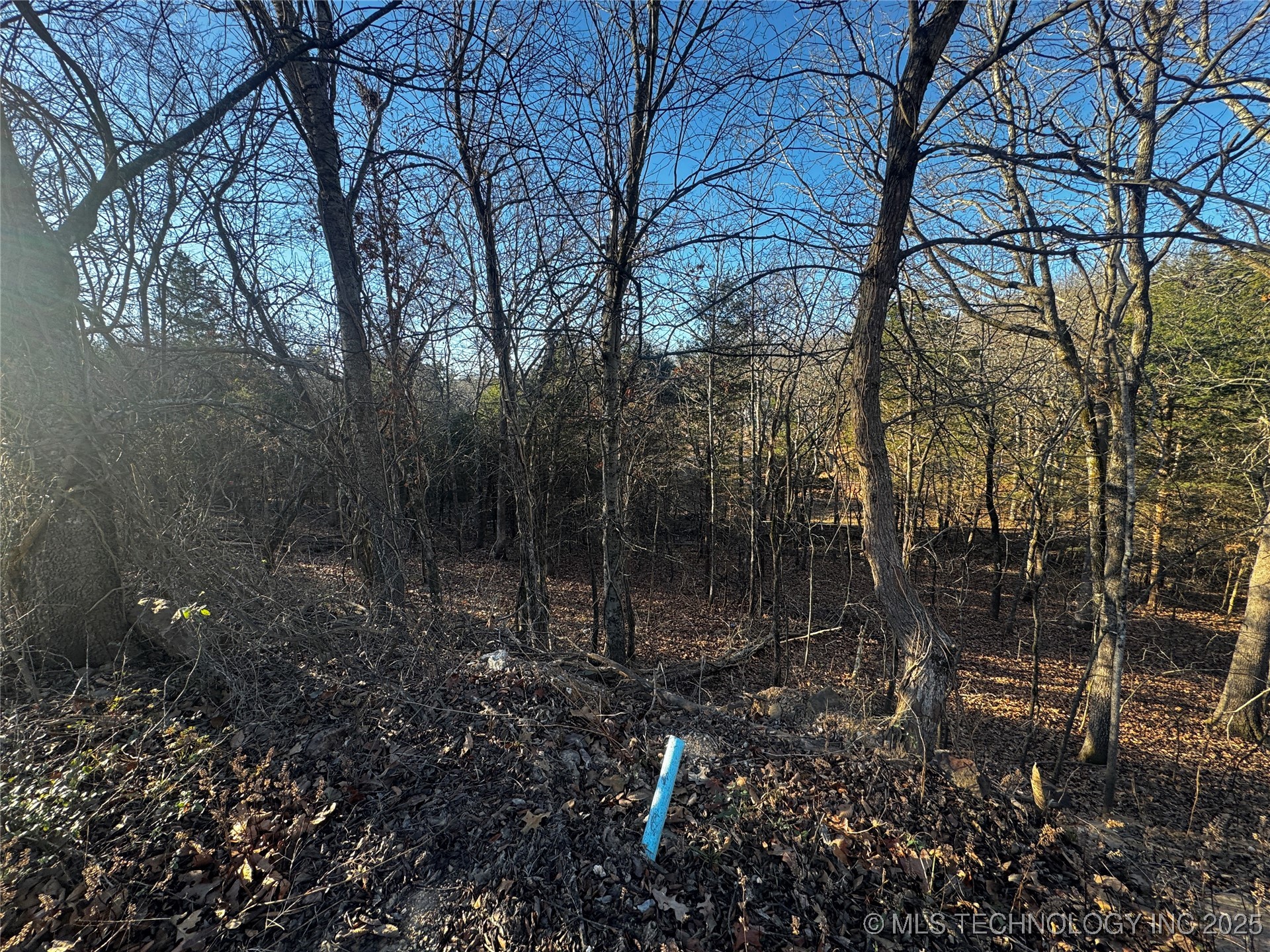 15077 Carlisle Drive Property Photo 18