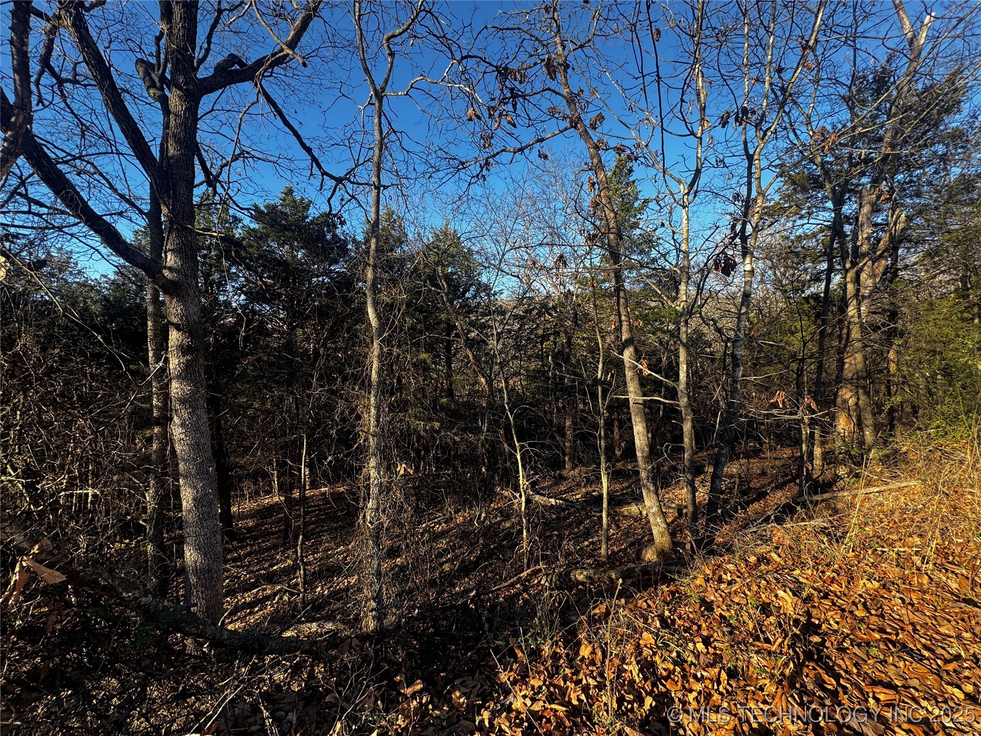 15077 Carlisle Drive Property Photo 19