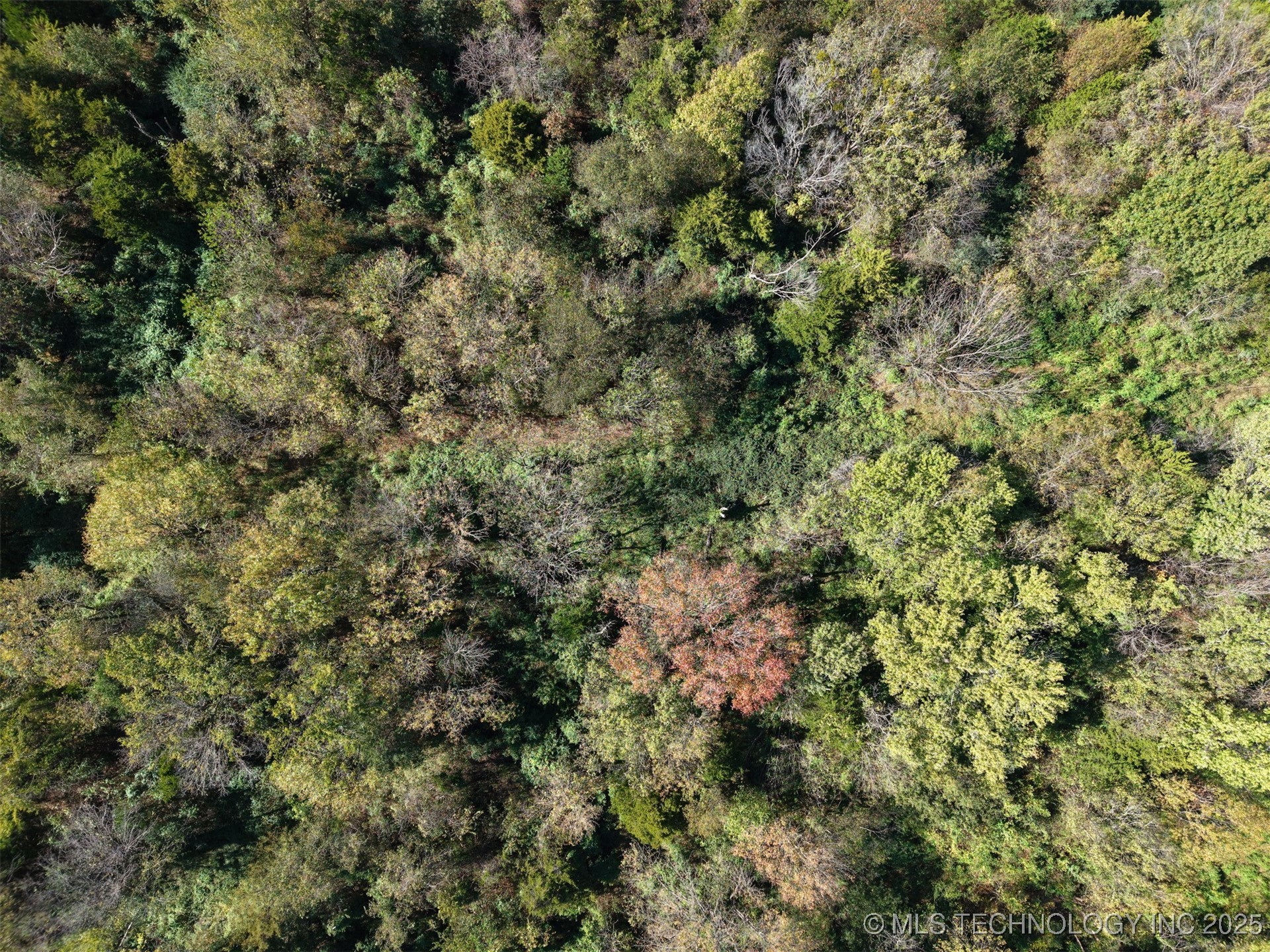 000 30th Avenue Nw Property Photo 17