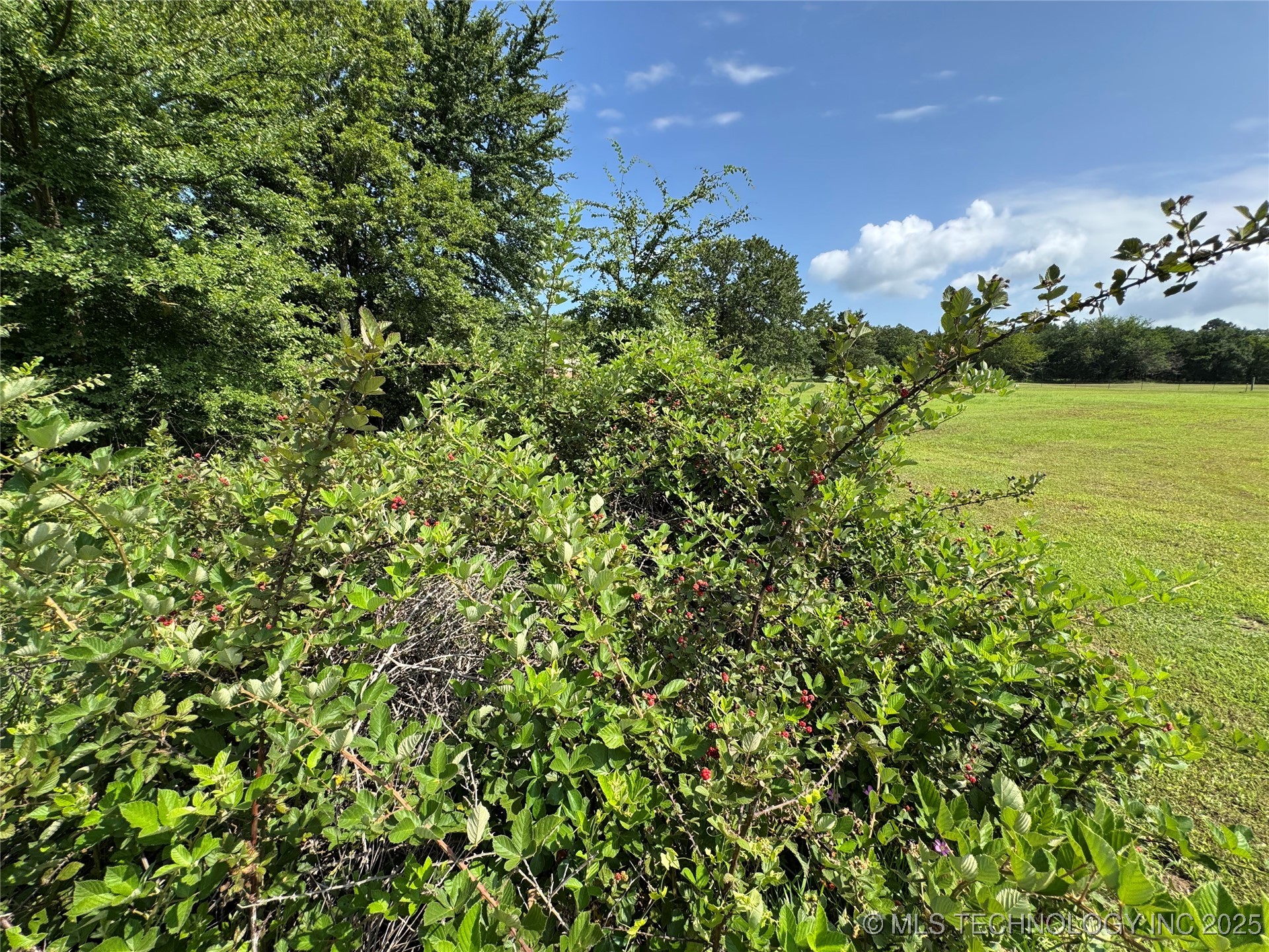 758 S Buffalo Road Property Photo 42