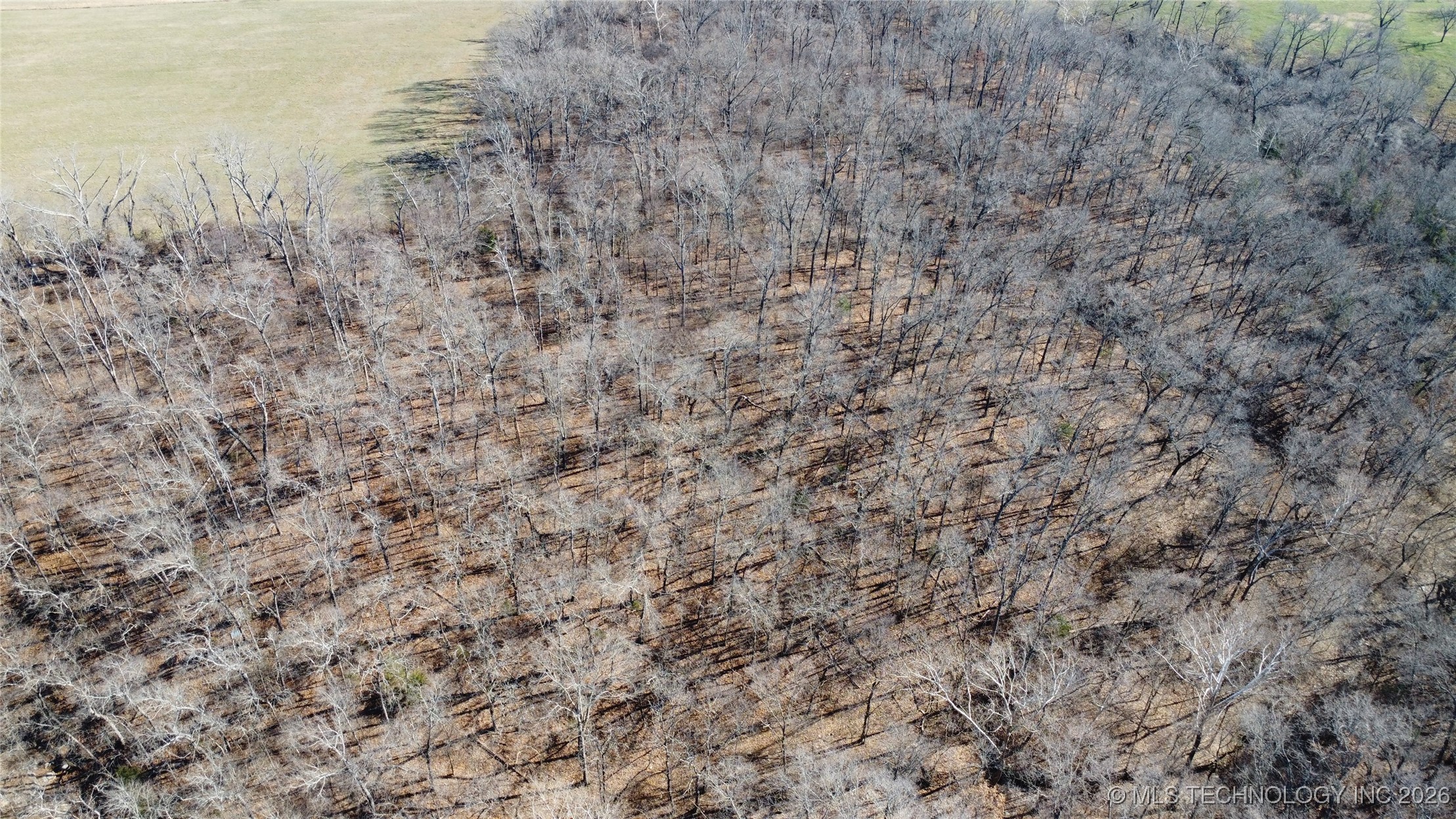 29855 S 585 Road Property Photo 2