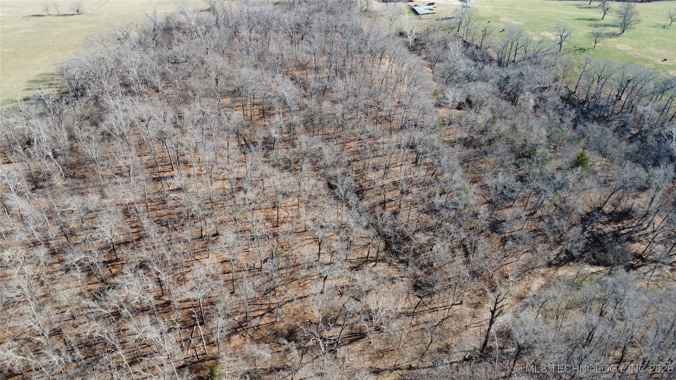 29855 S 585 Road Property Photo 6