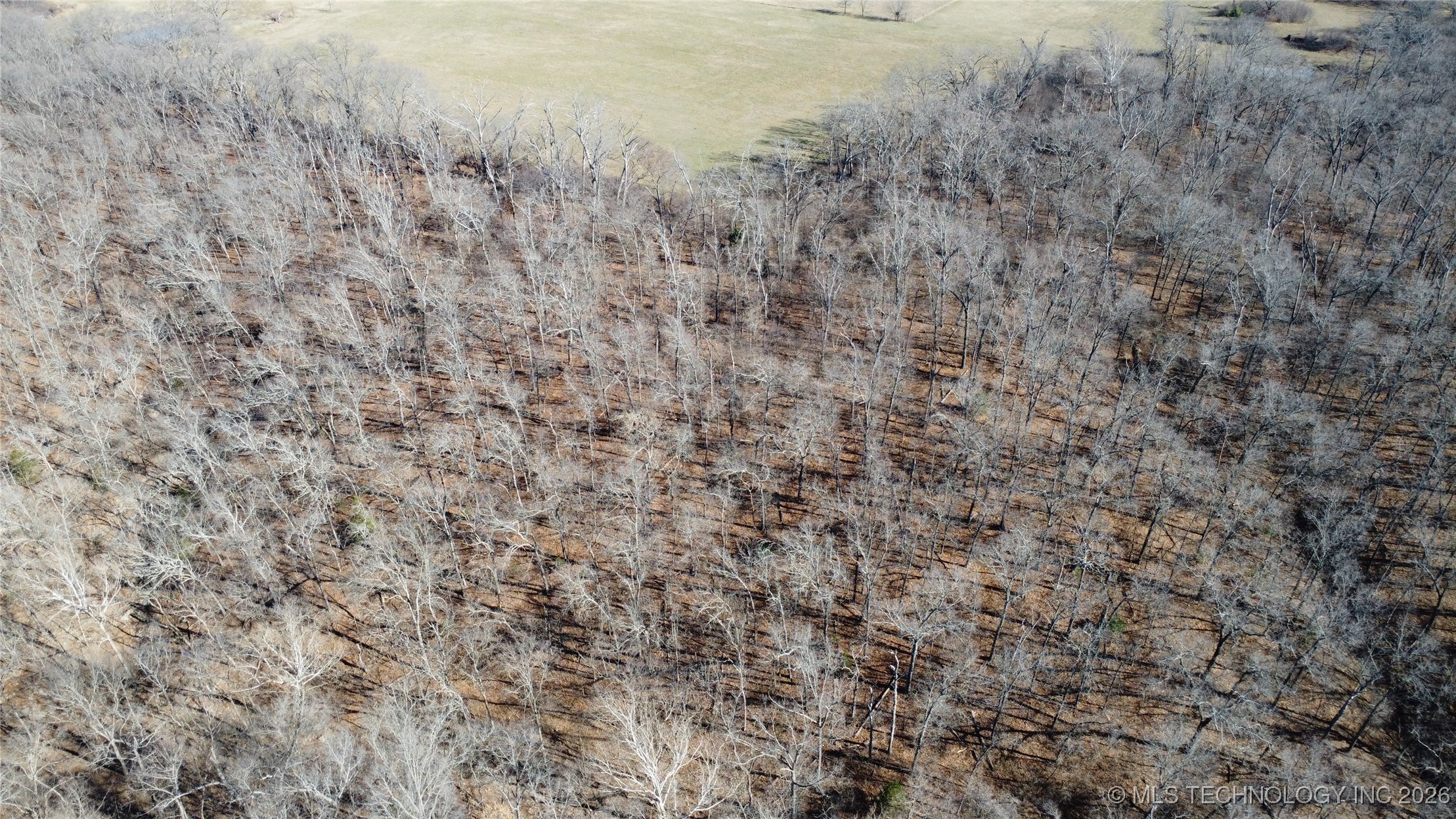 29855 S 585 Road Property Photo 7