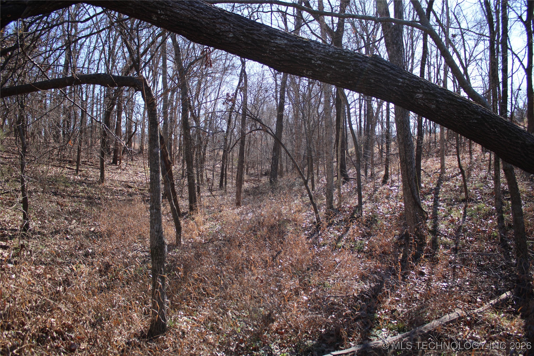 29855 S 585 Road Property Photo 10