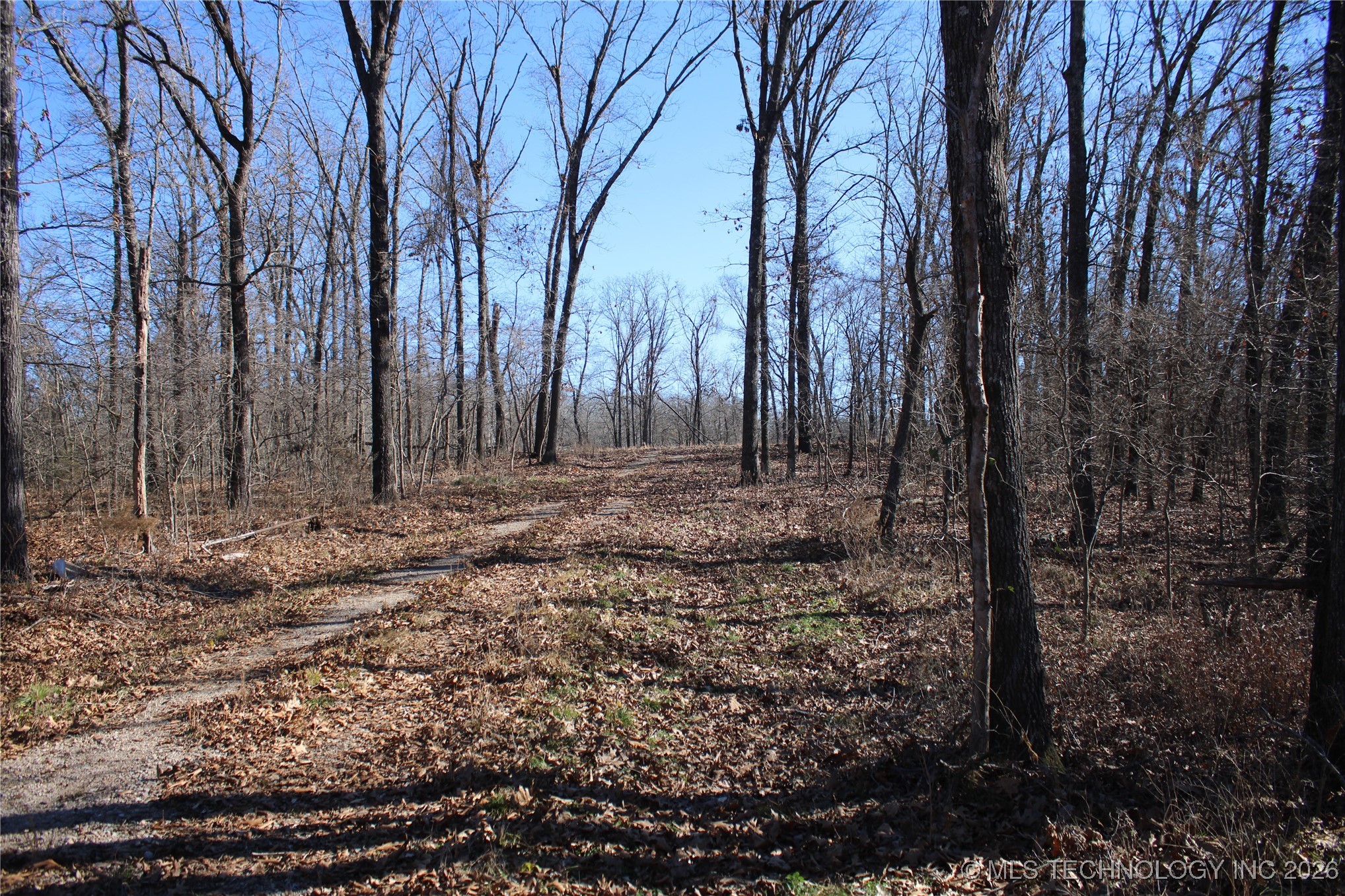 29855 S 585 Road Property Photo 11