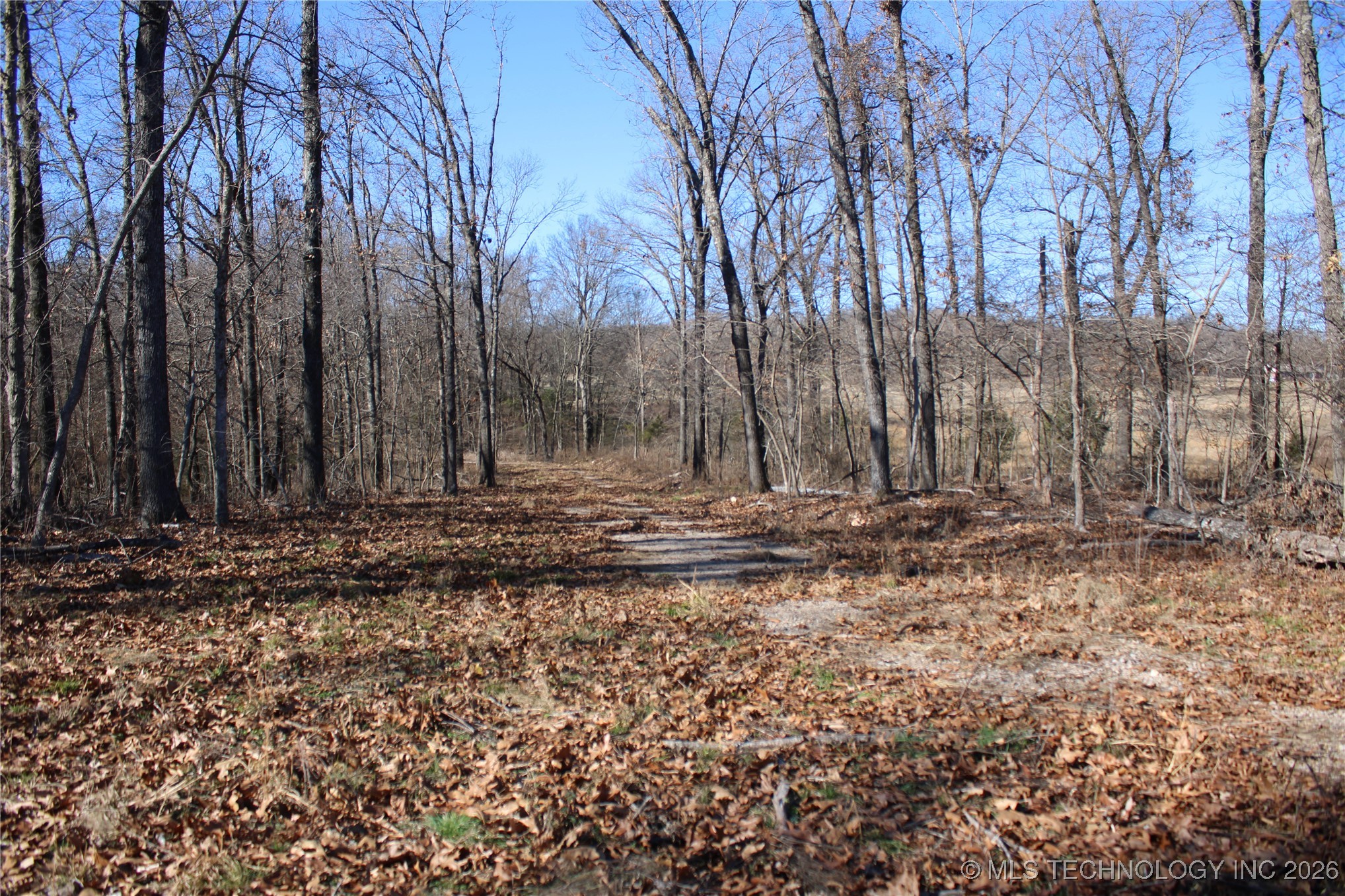 29855 S 585 Road Property Photo 12