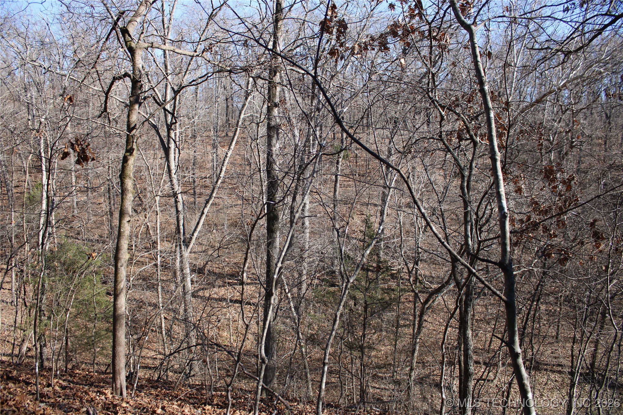 29855 S 585 Road Property Photo 13