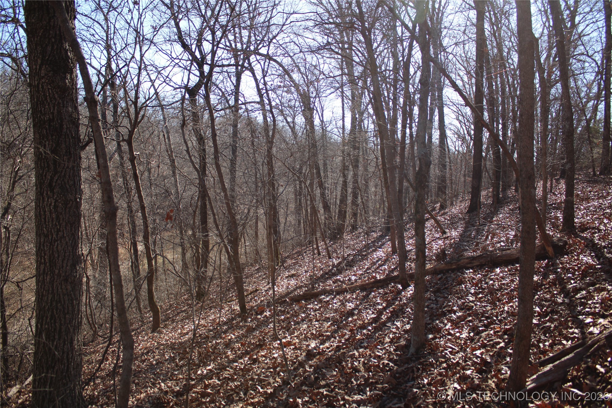 29855 S 585 Road Property Photo 14