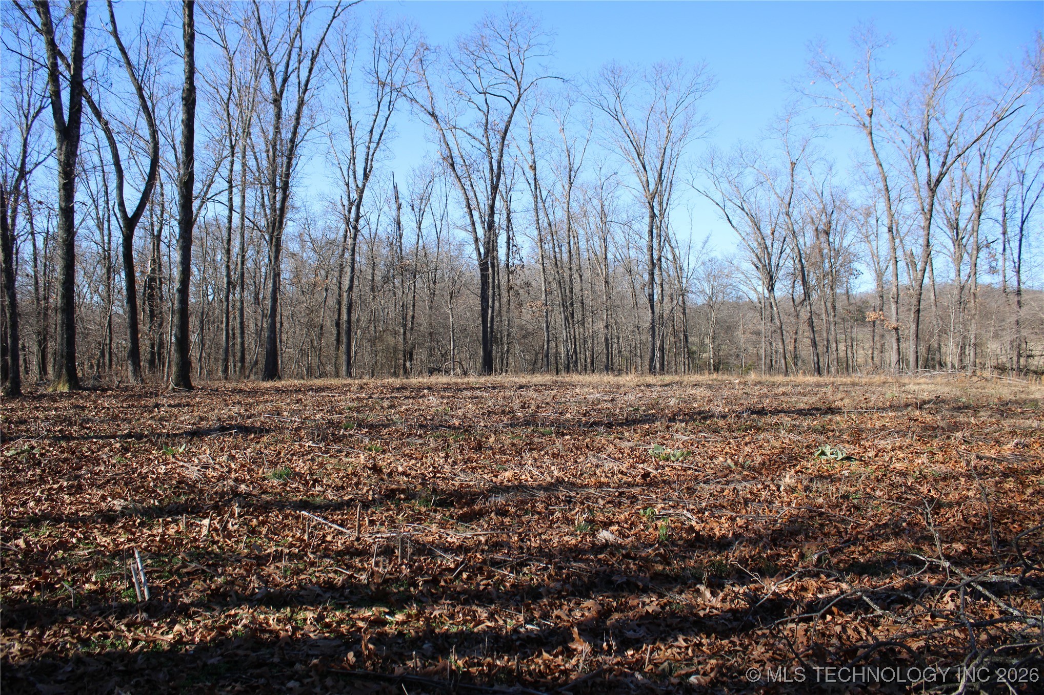 29855 S 585 Road Property Photo 15