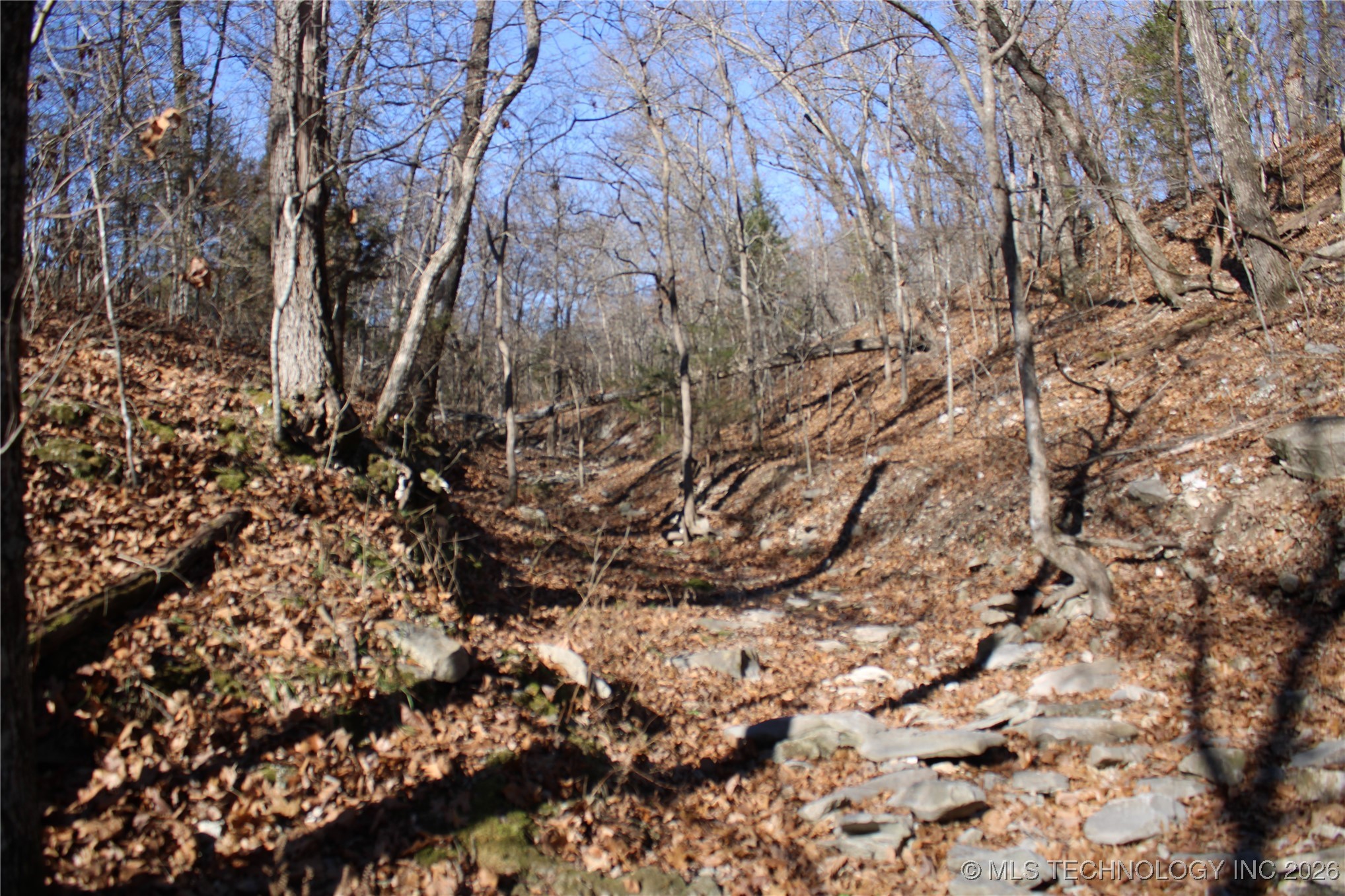 29855 S 585 Road Property Photo 16