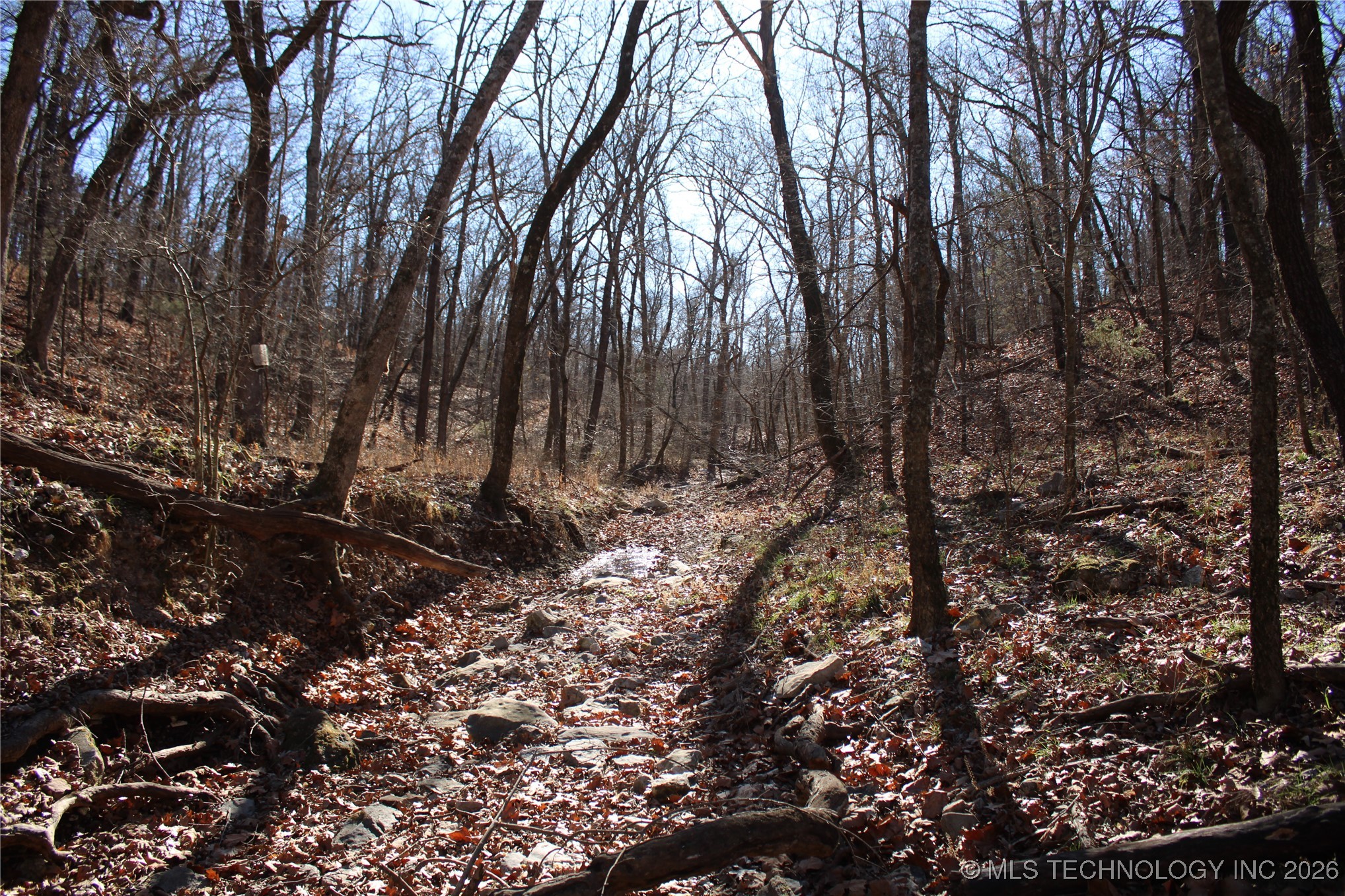 29855 S 585 Road Property Photo 17