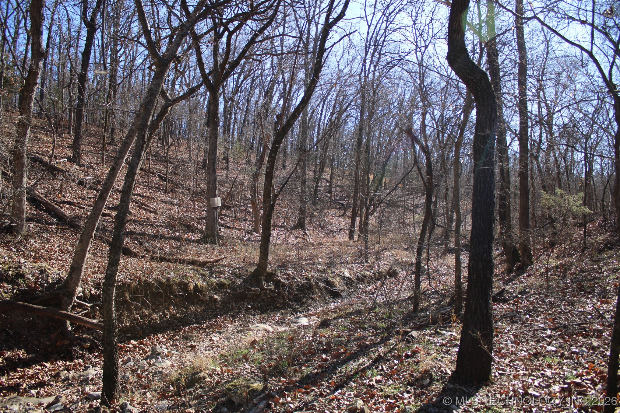 29855 S 585 Road Property Photo 18