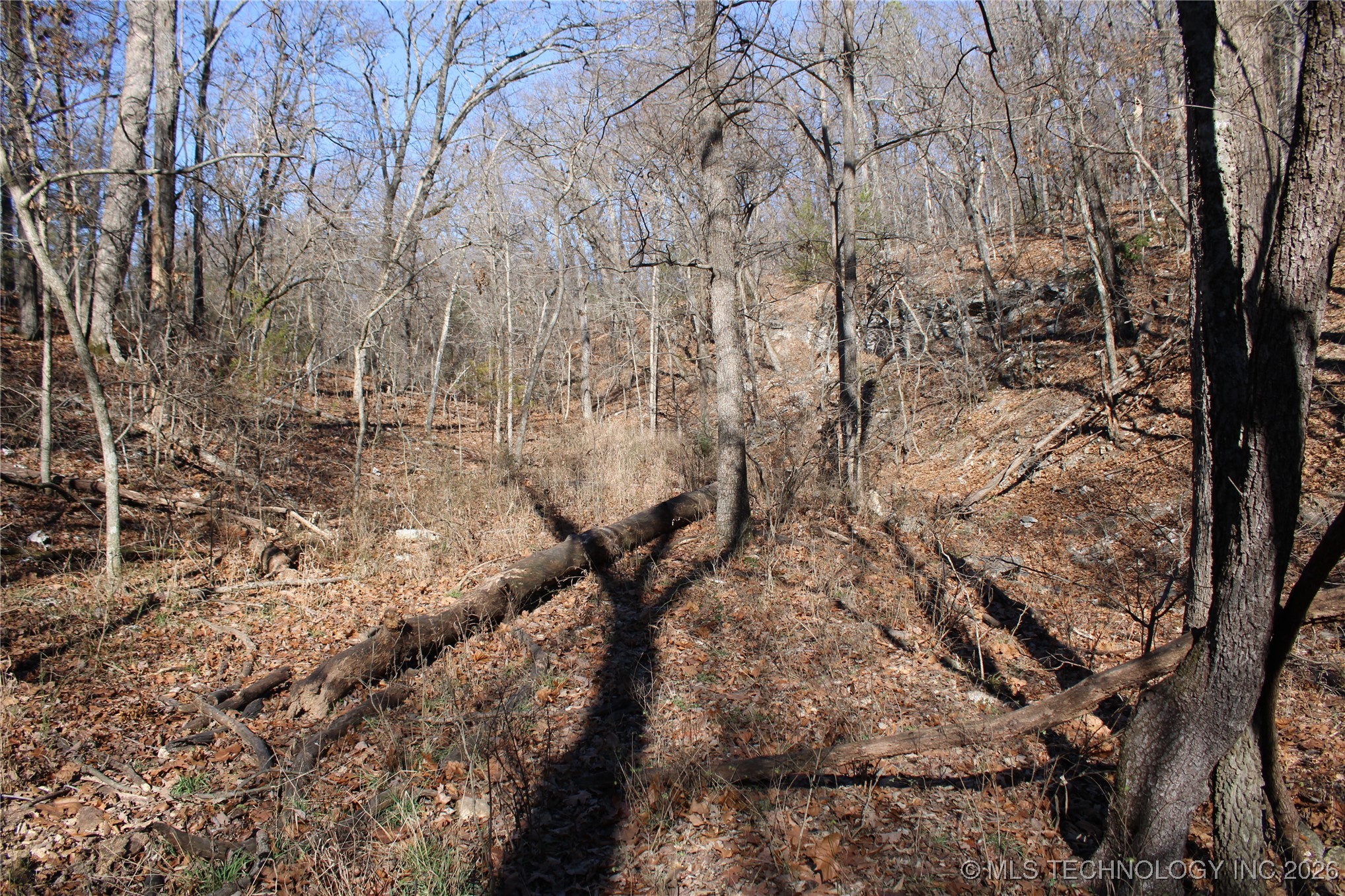 29855 S 585 Road Property Photo 19