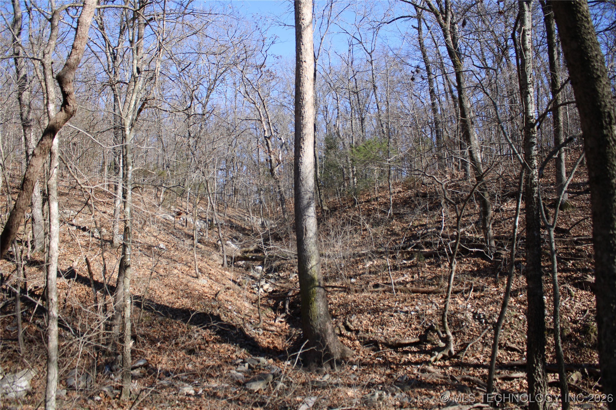 29855 S 585 Road Property Photo 20