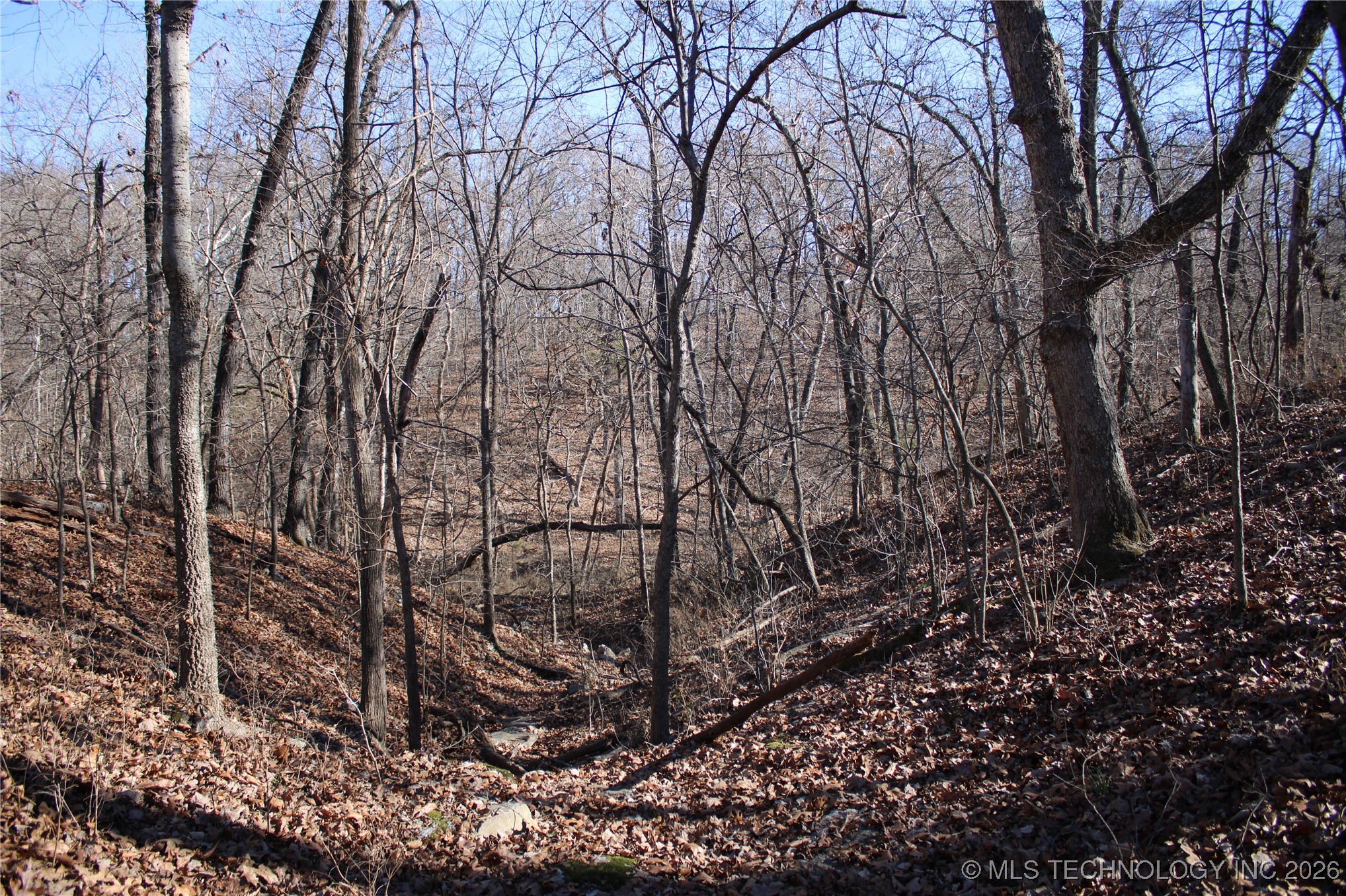 29855 S 585 Road Property Photo 21