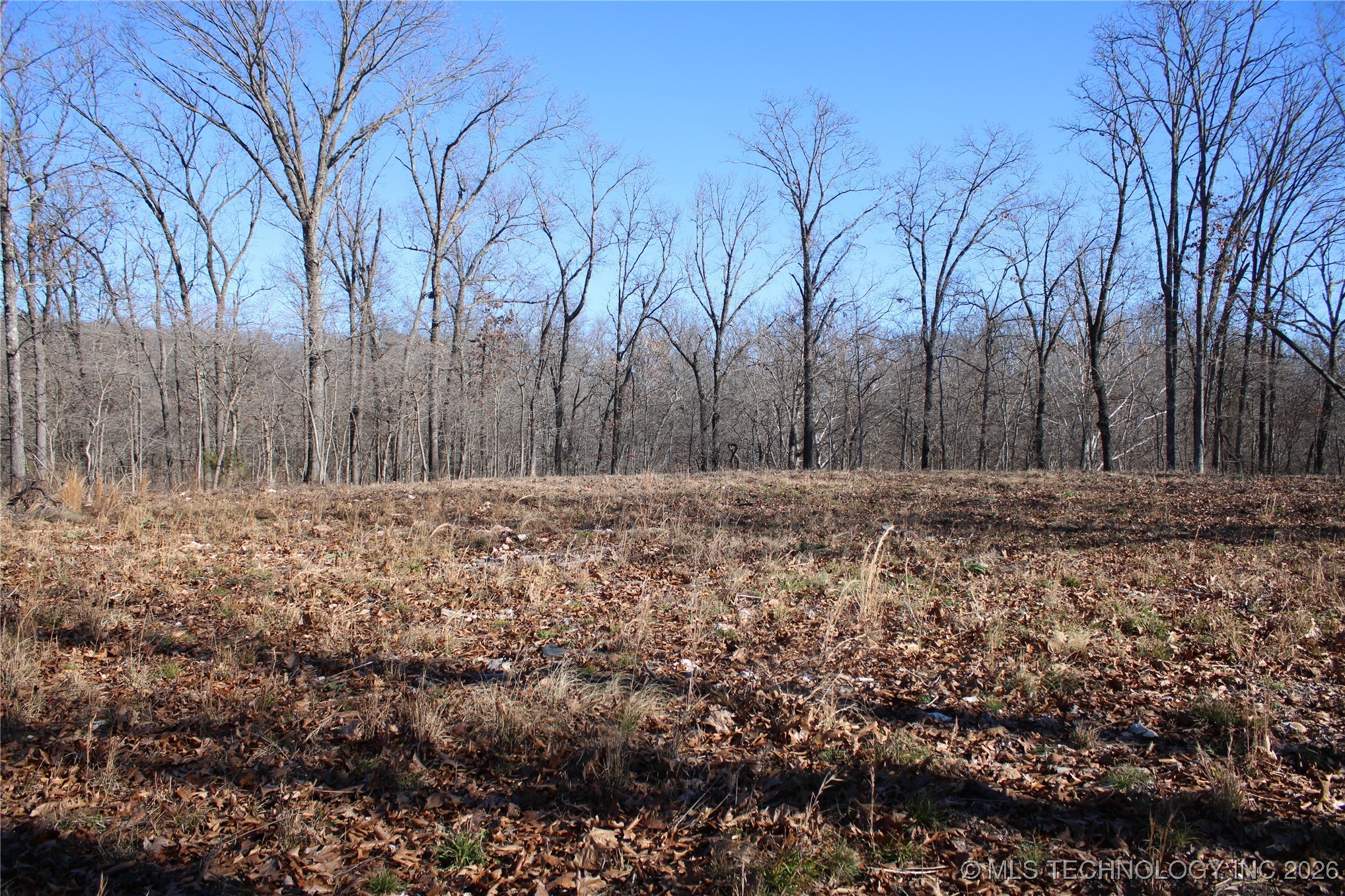 29855 S 585 Road Property Photo 22