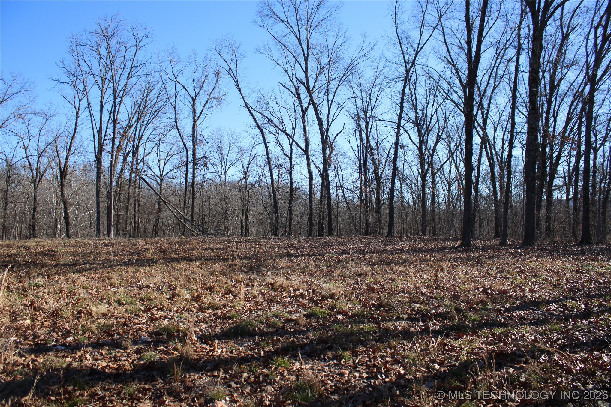 29855 S 585 Road Property Photo 23