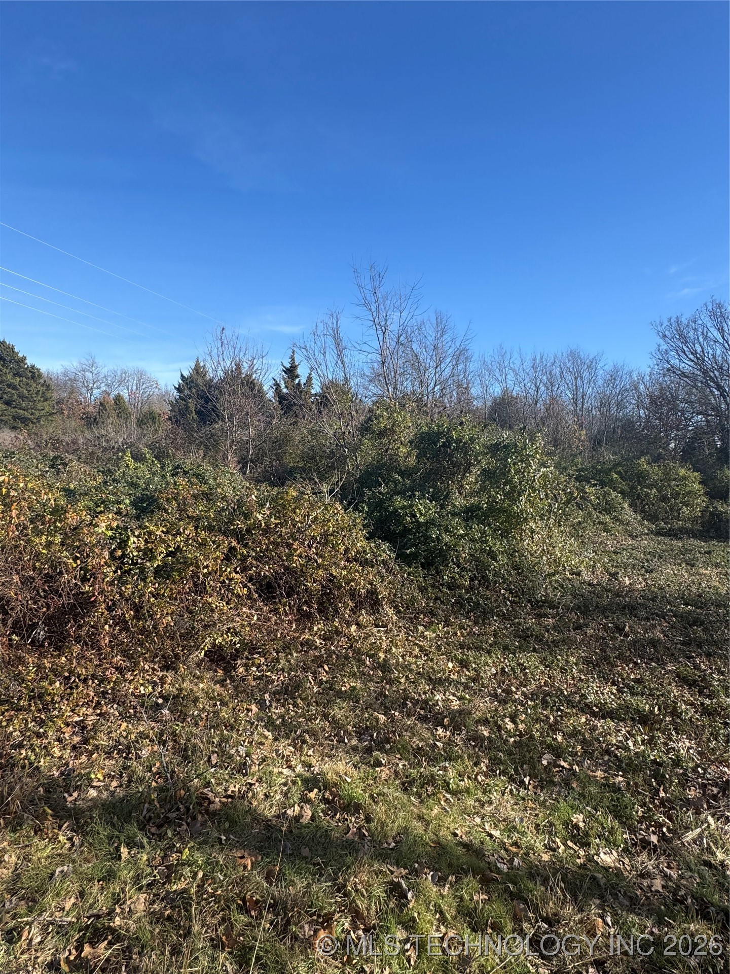 908 W Osage Property Photo 6