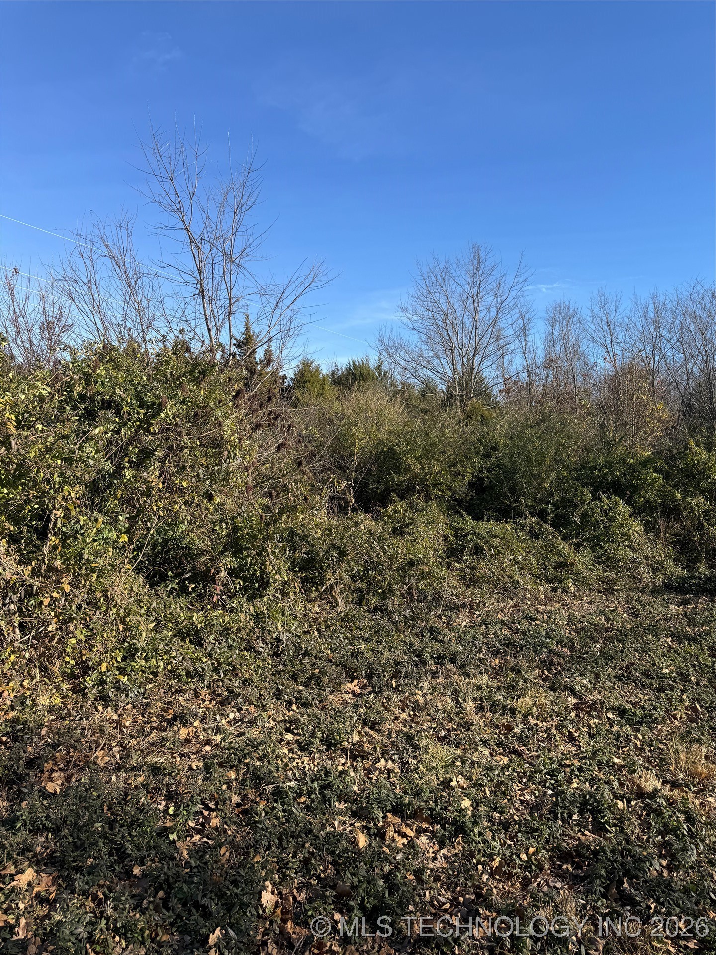 908 W Osage Property Photo 9