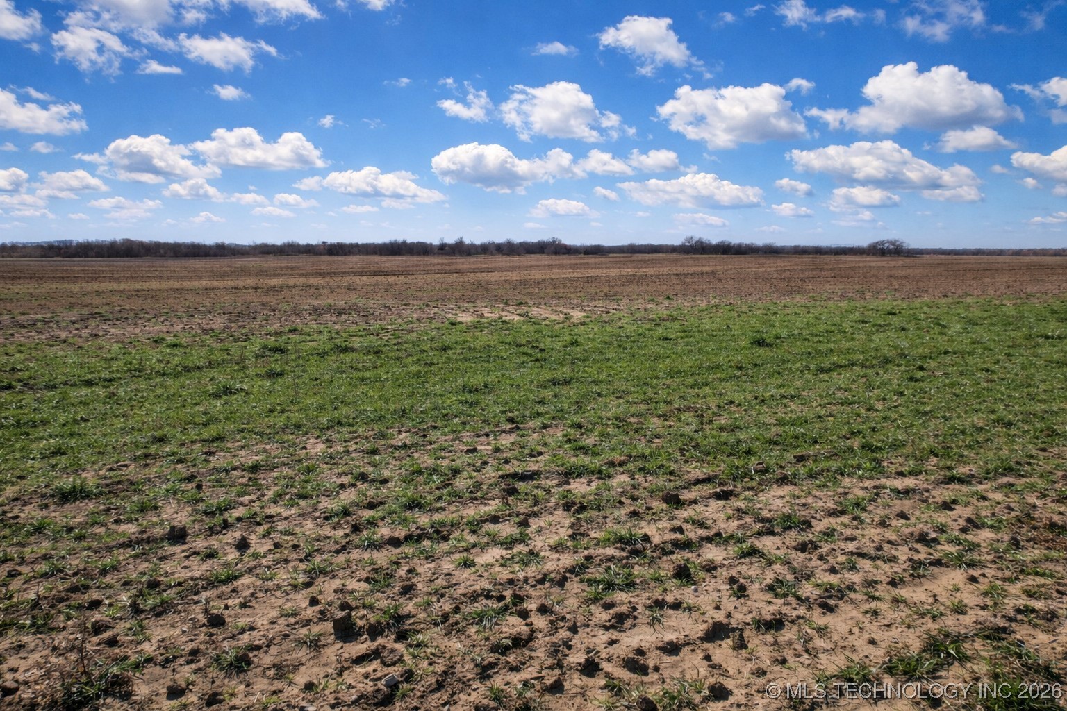 0001 E 320 Property Photo 3