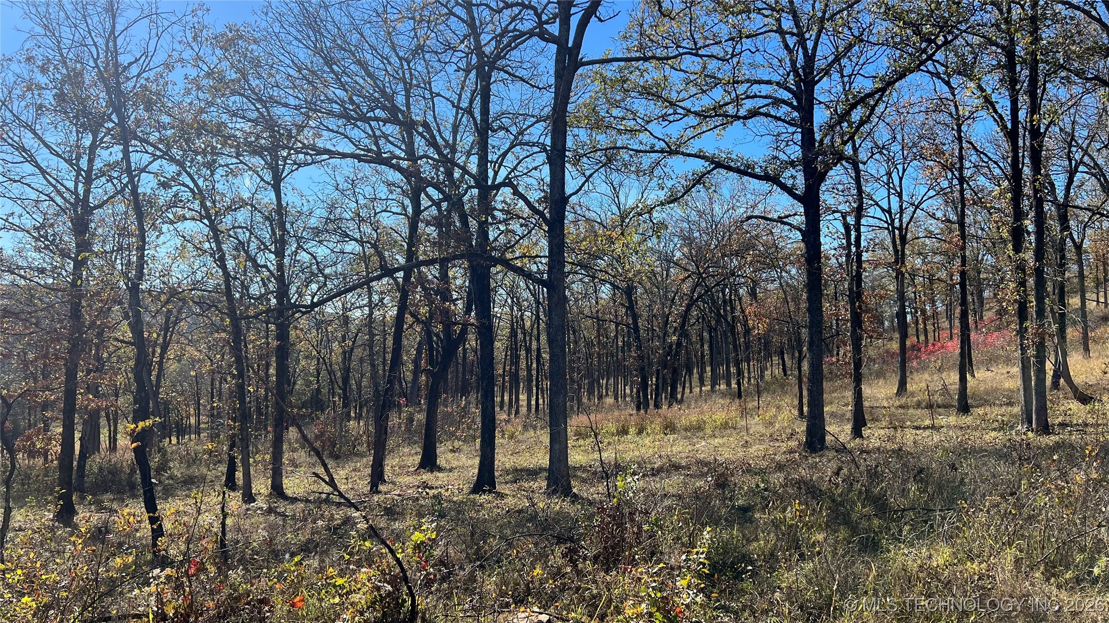 Se 110 Road Property Photo 28