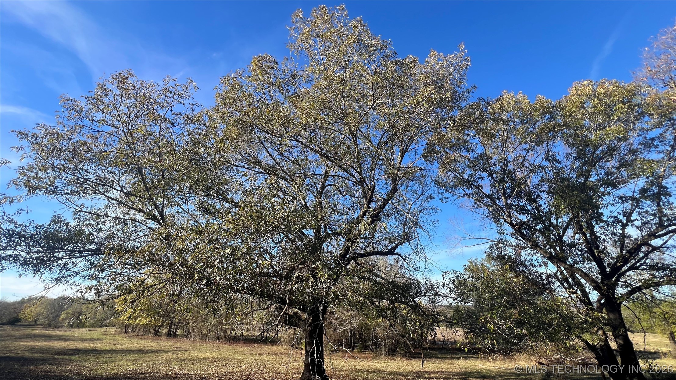 Se 110 Road Property Photo 42