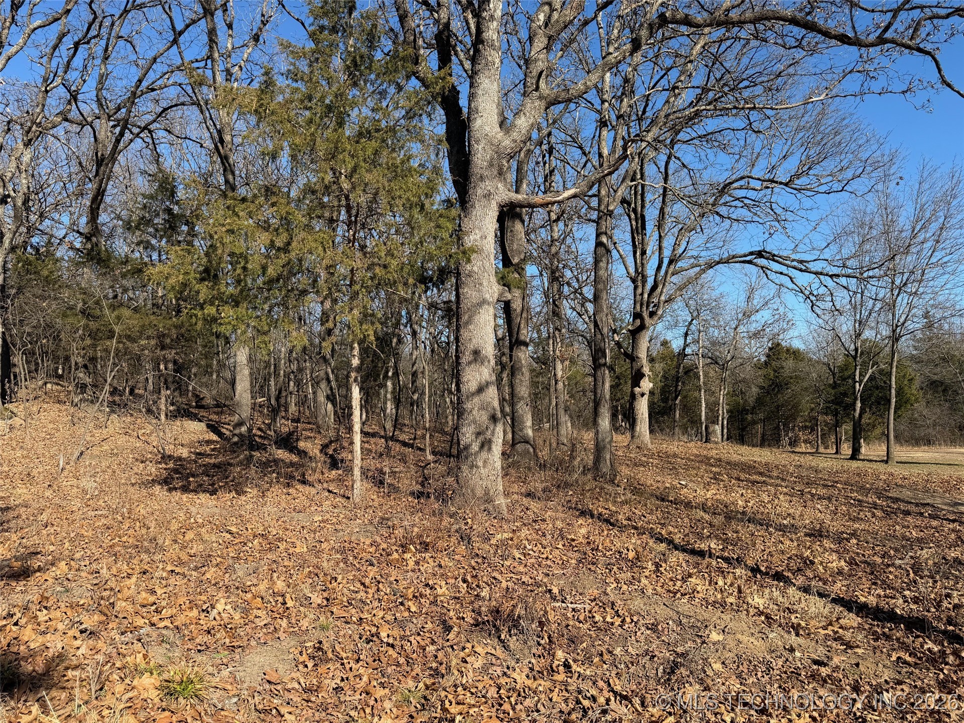 367315 E Country Club Boulevard Property Photo 52