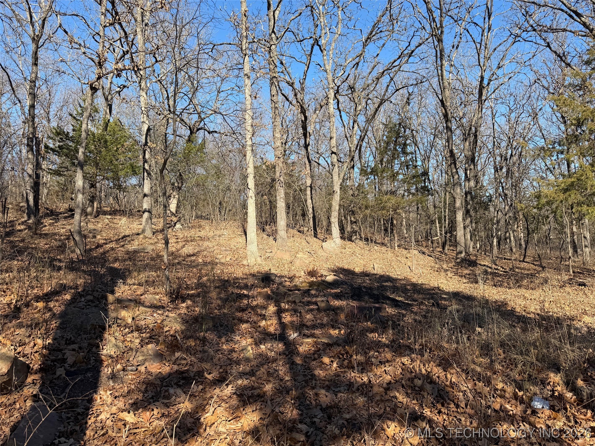 367315 E Country Club Boulevard Property Photo 54