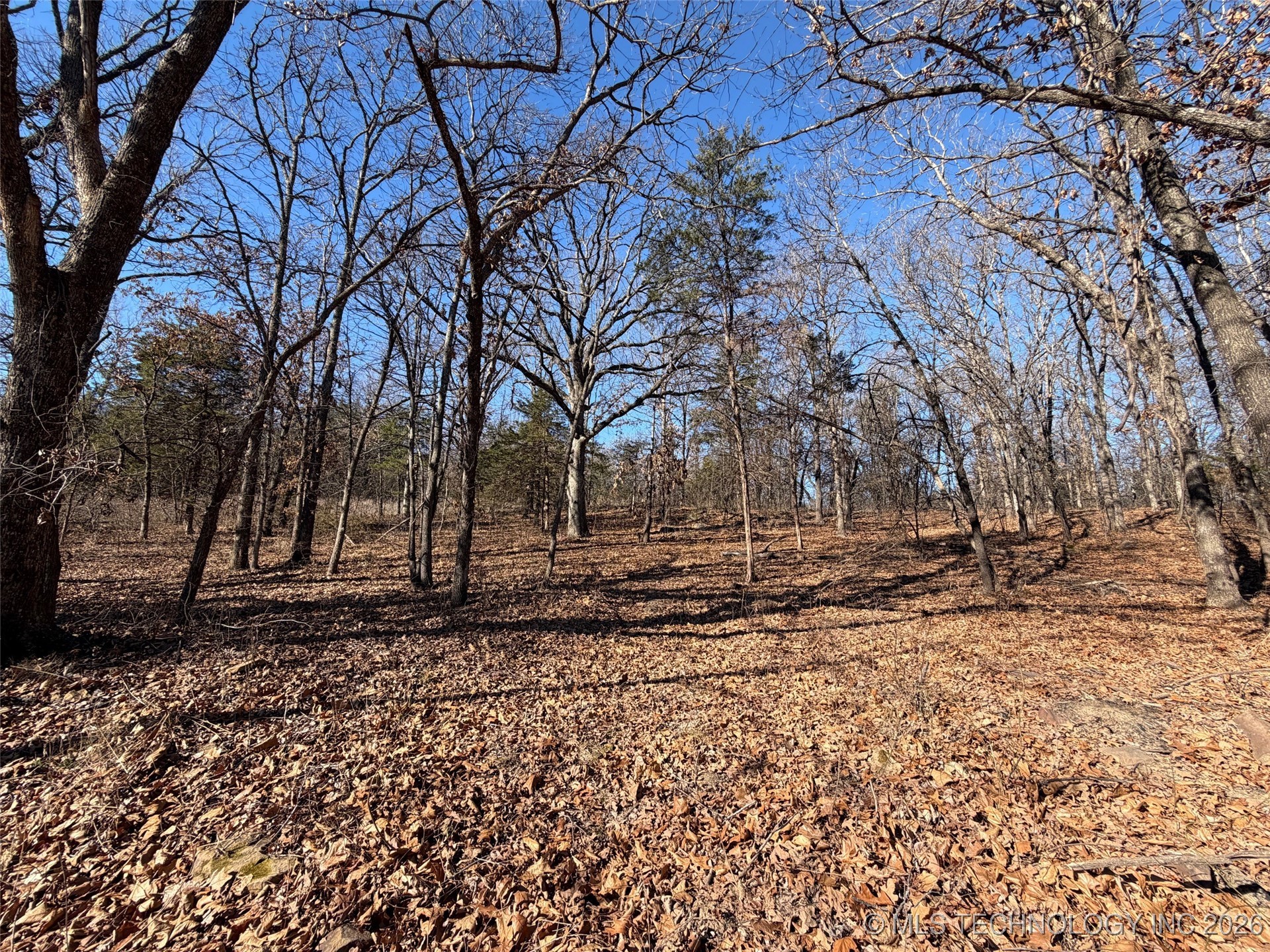 367315 E Country Club Boulevard Property Photo 57