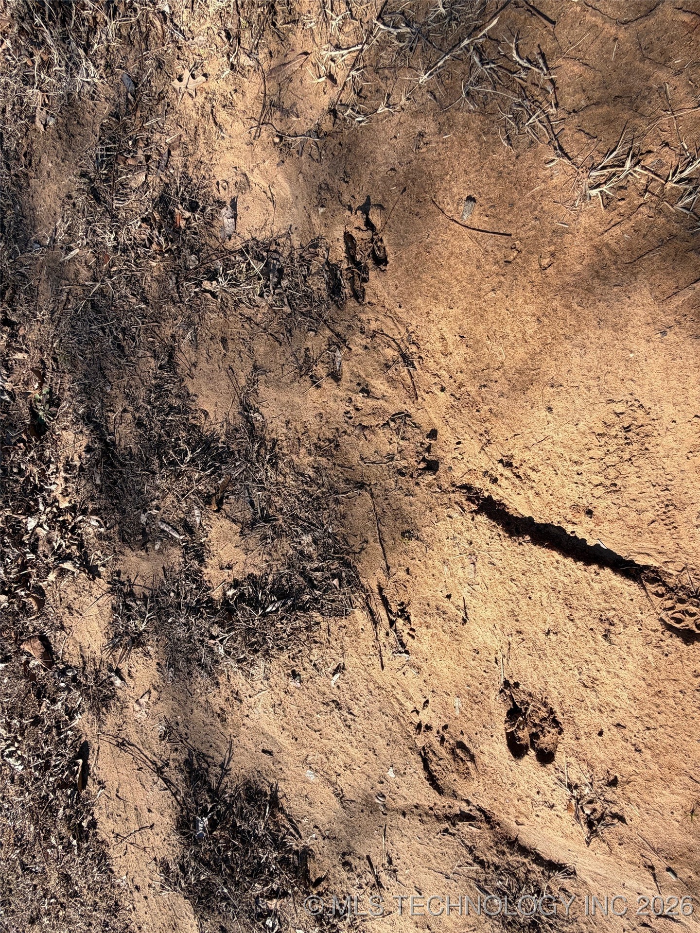 367315 E Country Club Boulevard Property Photo 59