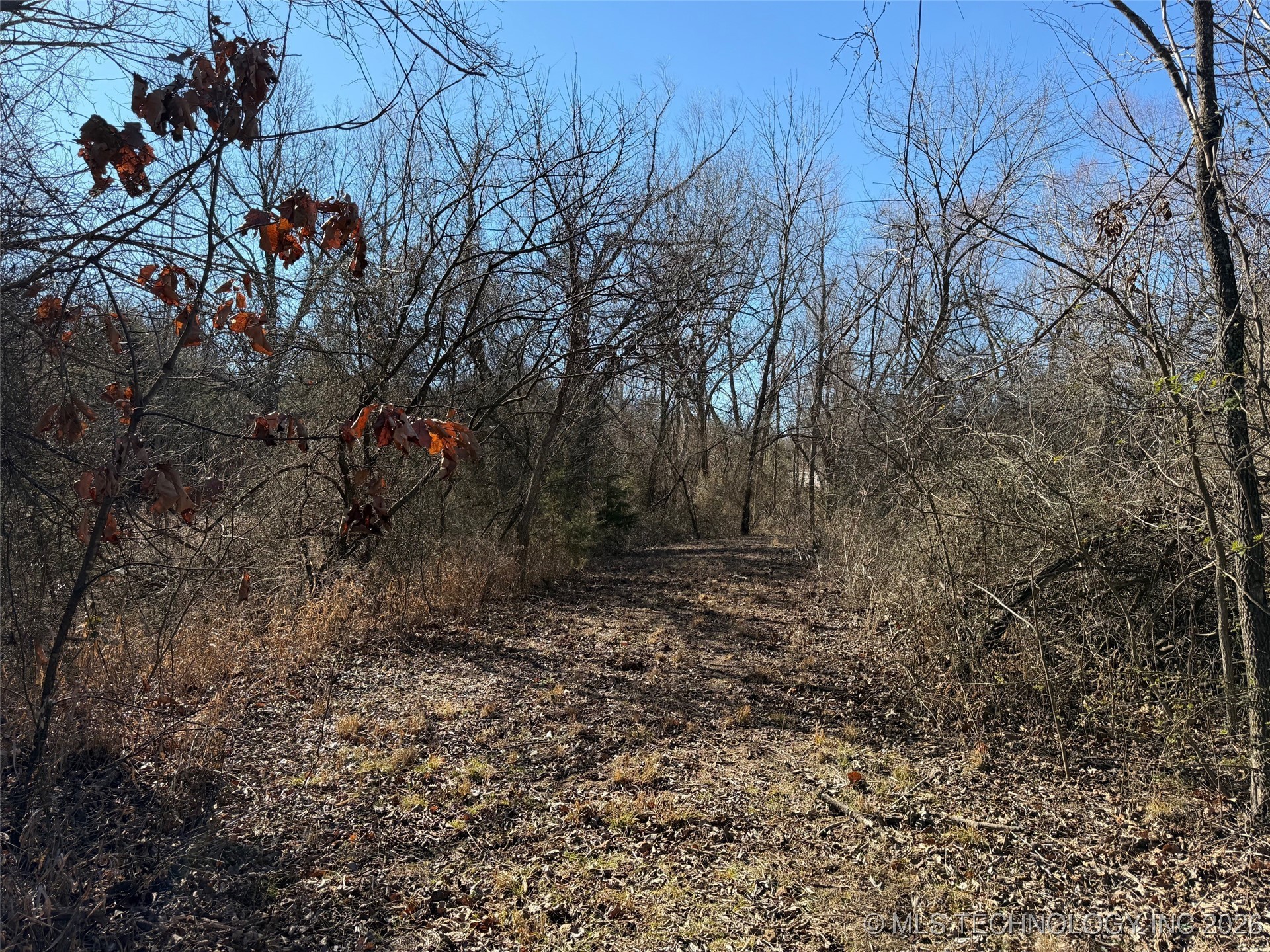 367315 E Country Club Boulevard Property Photo 66