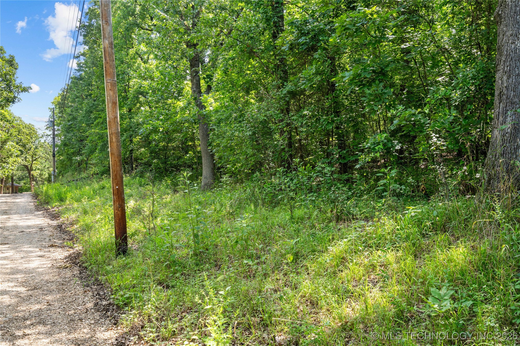 11111 958 Property Photo 6