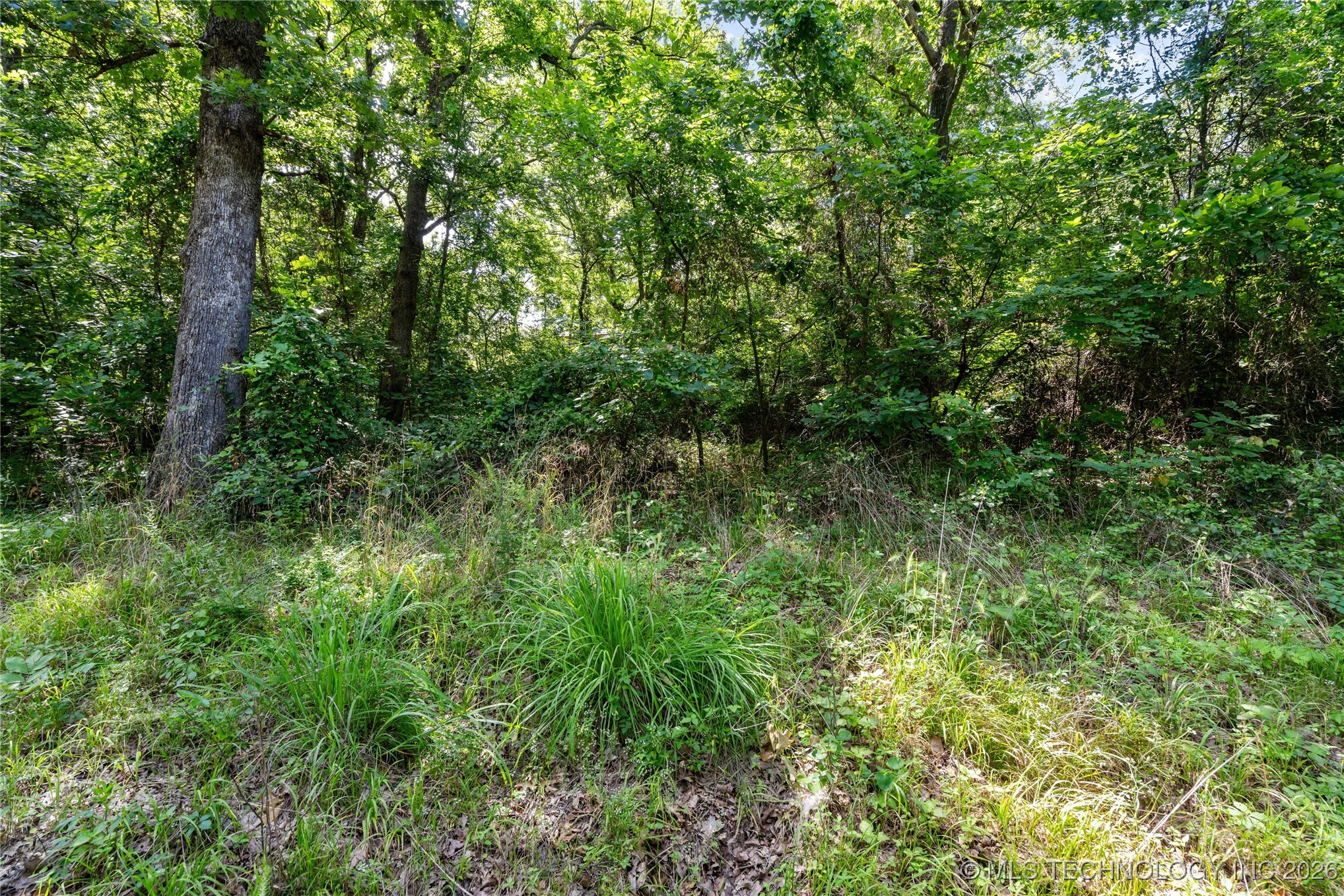 11111 958 Property Photo 8