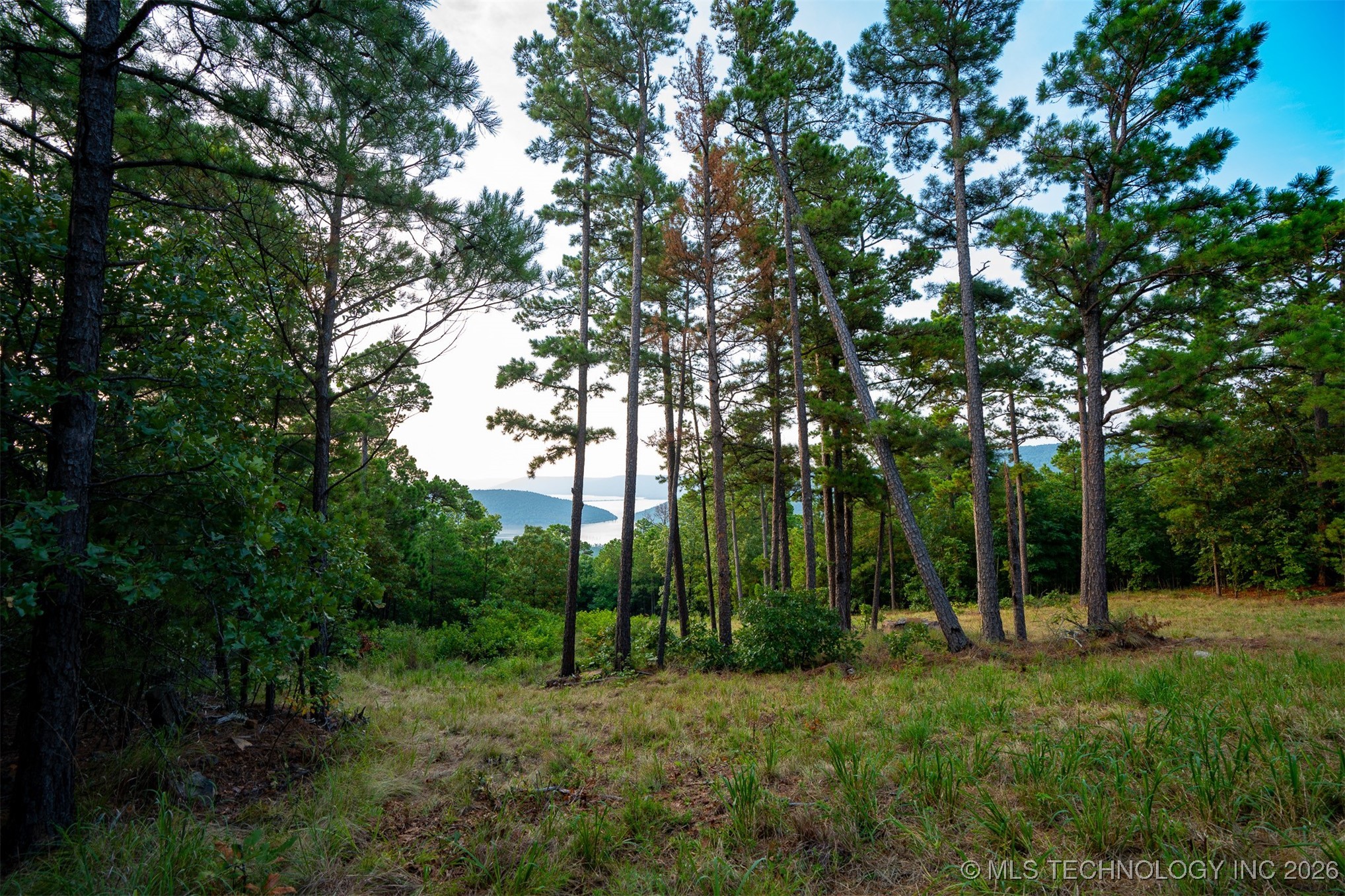 Savage Road Property Photo 7