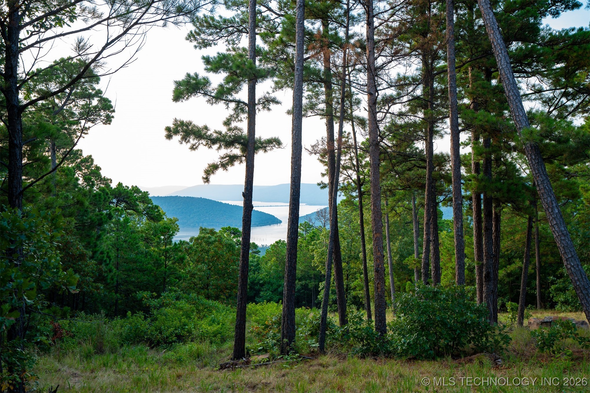 Savage Road Property Photo 8