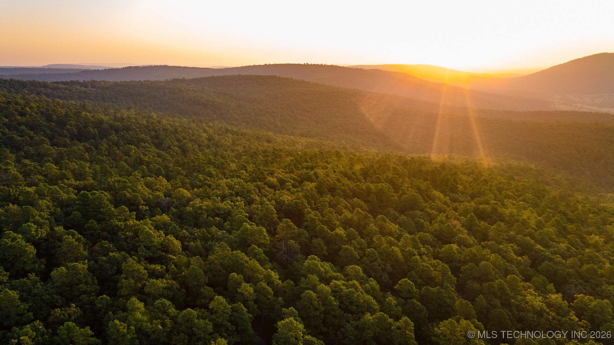 Savage Road Property Photo 12