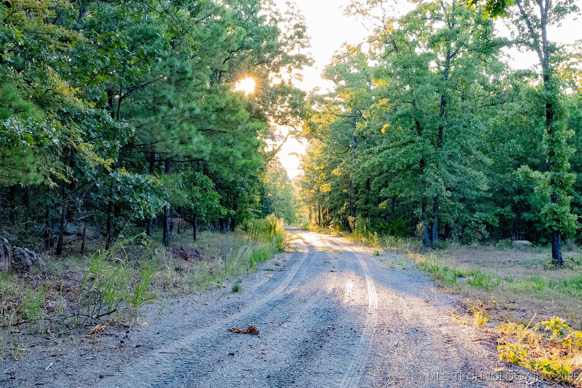 Savage Road Property Photo 30