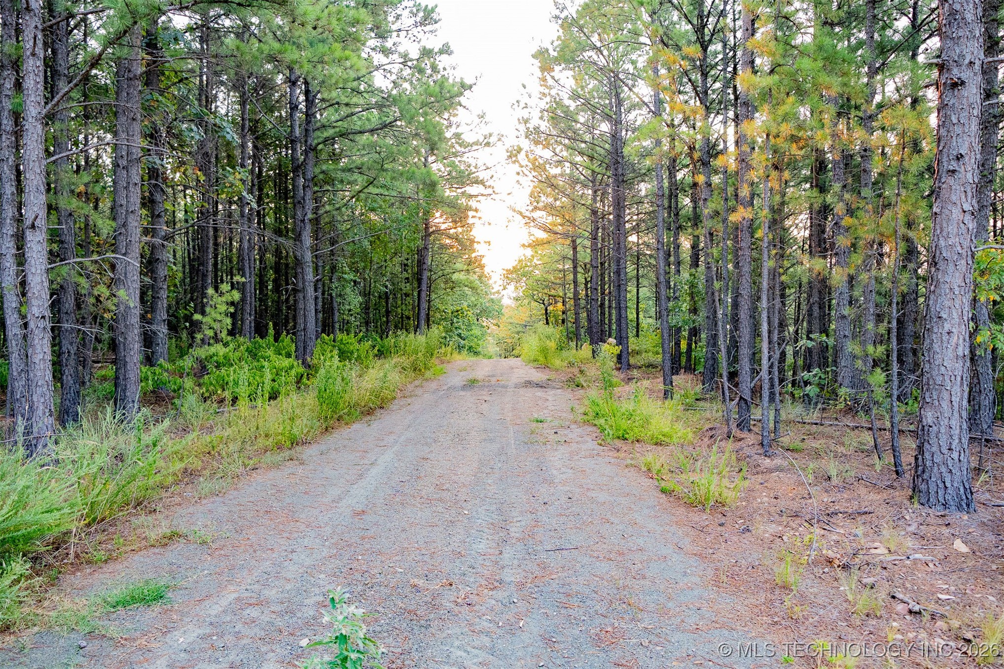 Savage Road Property Photo 31