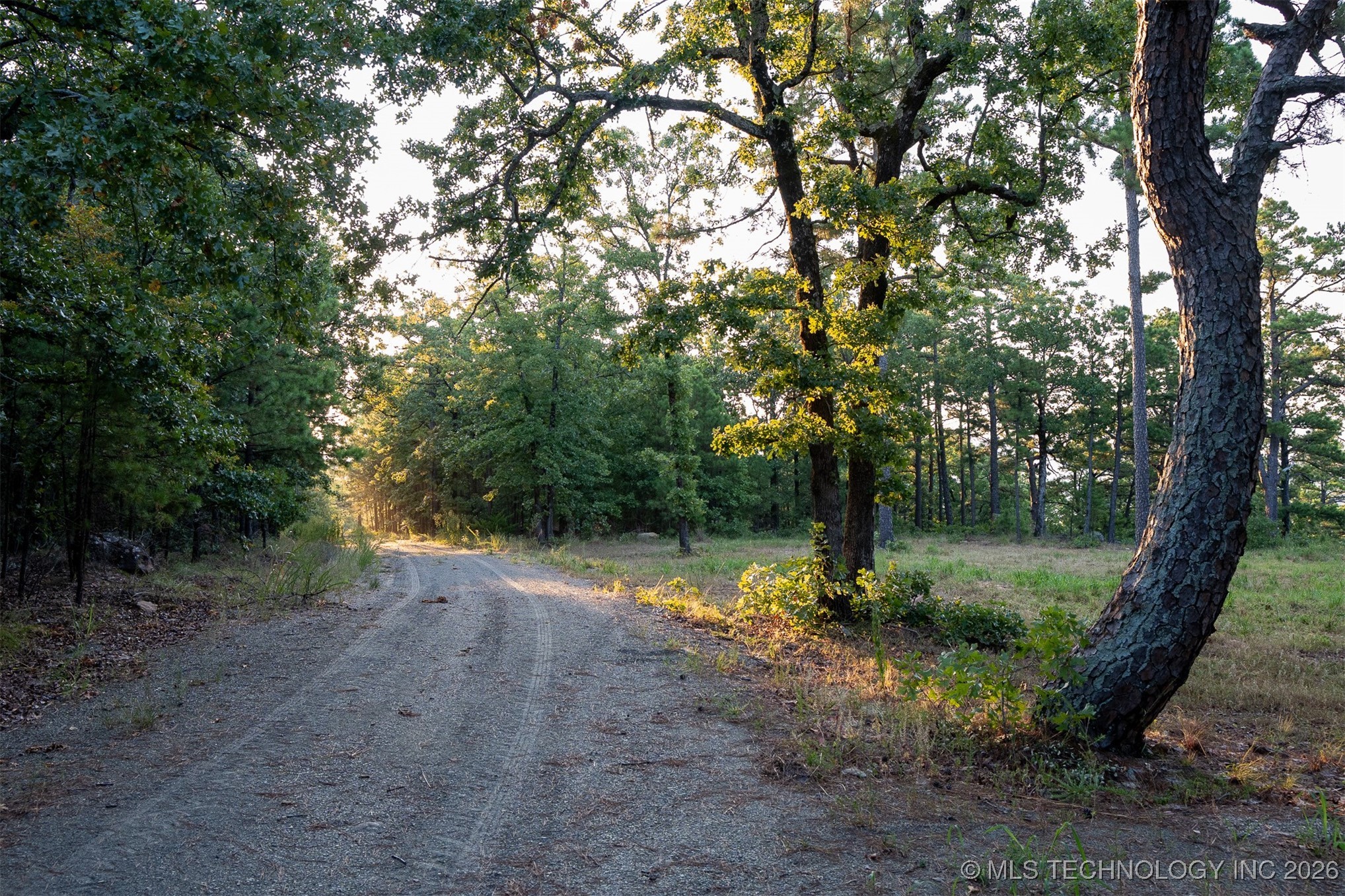 Savage Road Property Photo 32