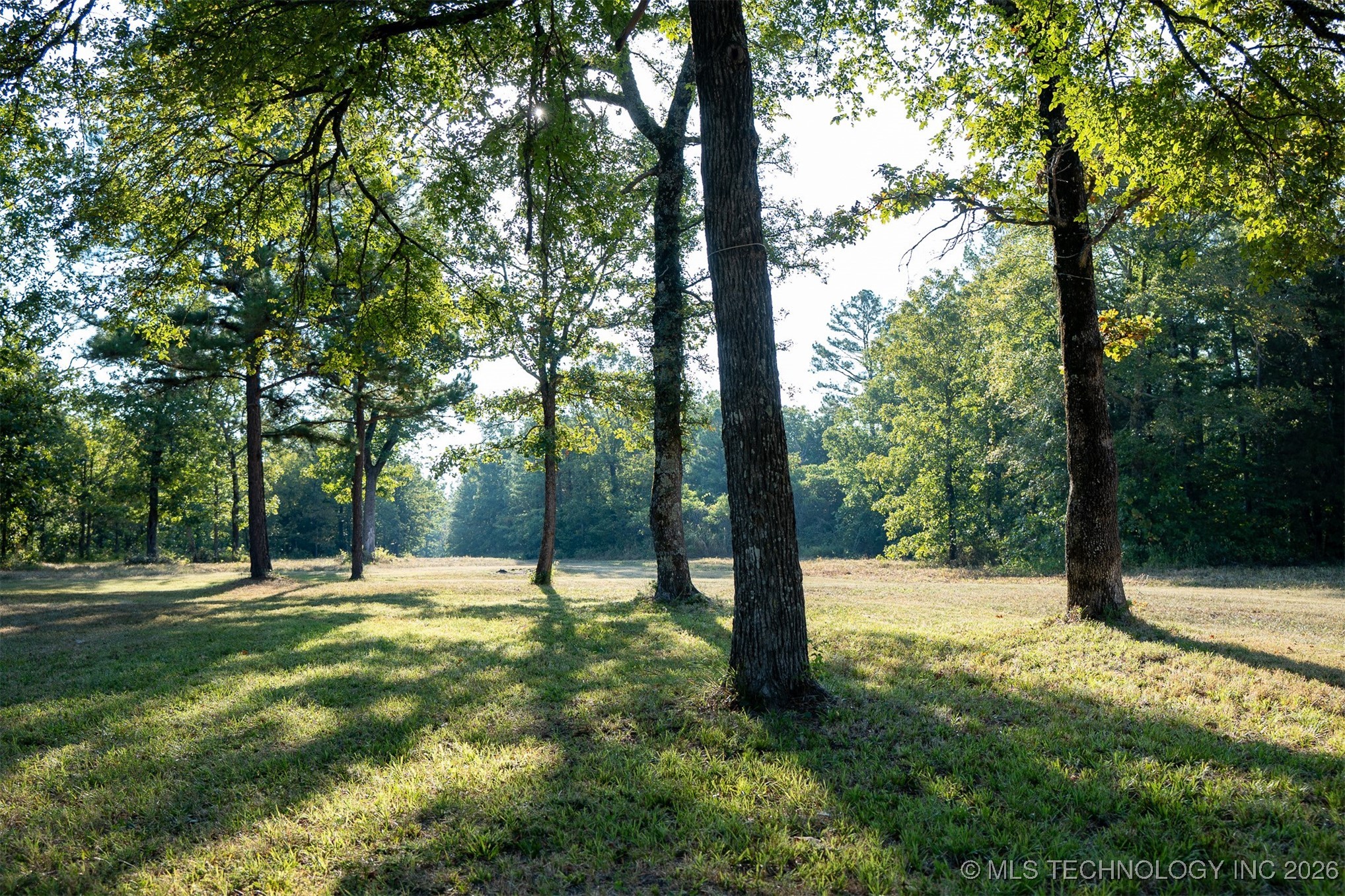 Savage Road Property Photo 33