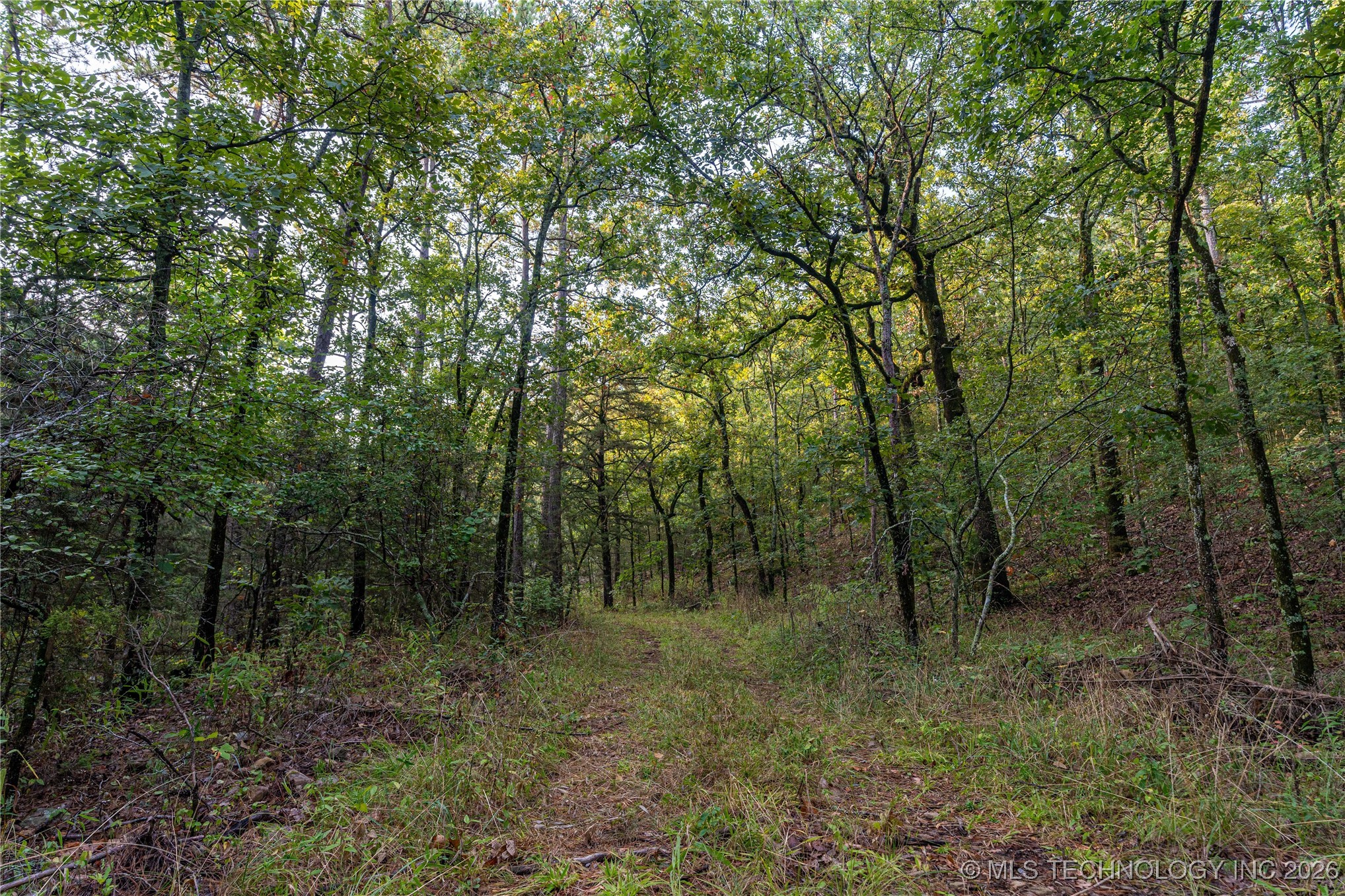 Savage Road Property Photo 34