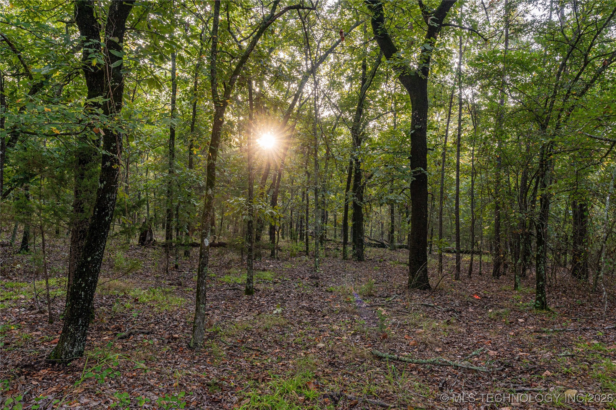 Savage Road Property Photo 35